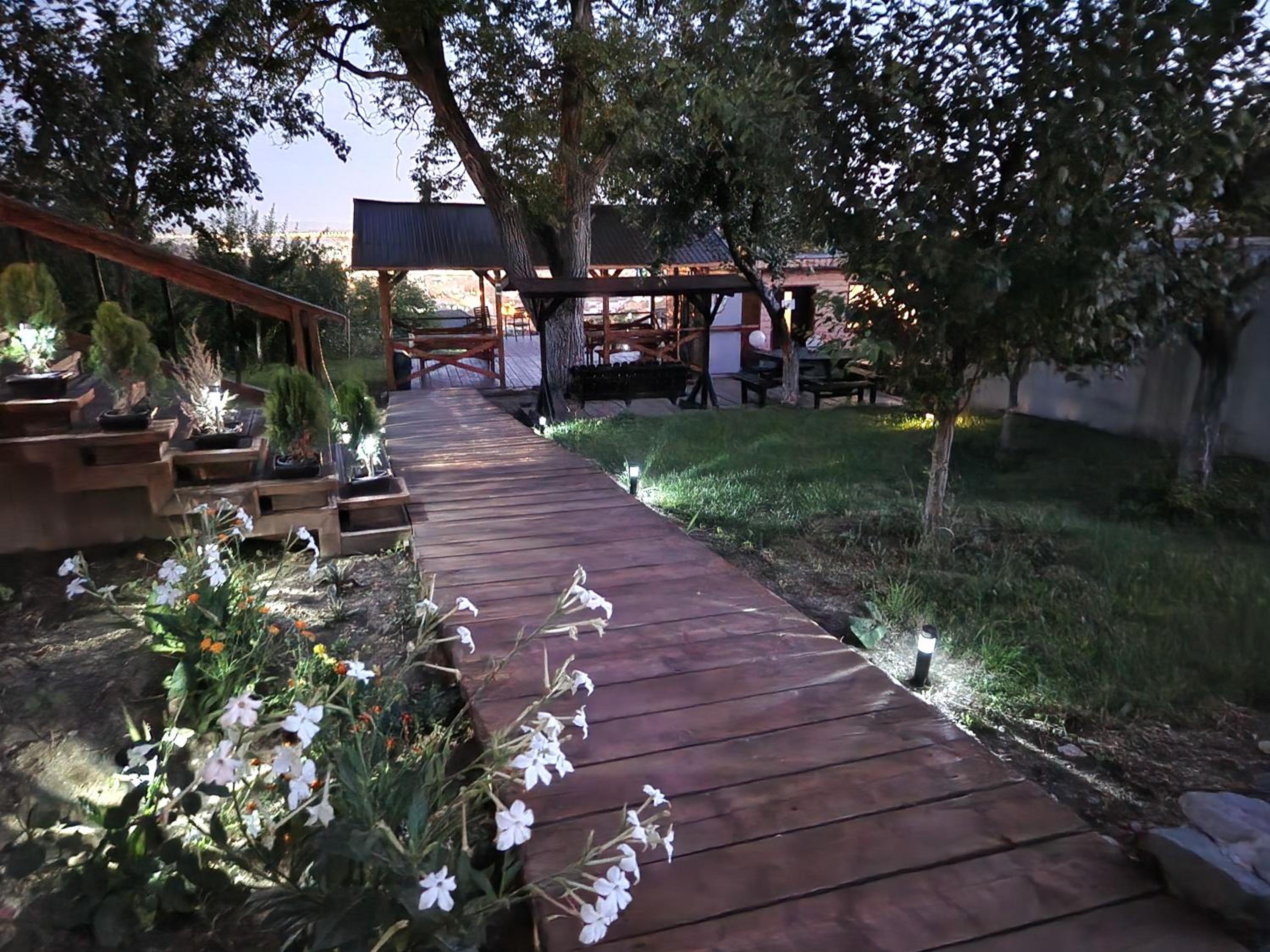 Photo 6