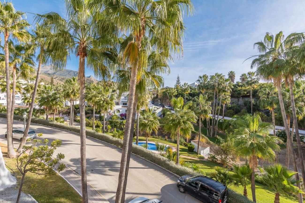 Las Palmas 2a Oasis Properties view 2