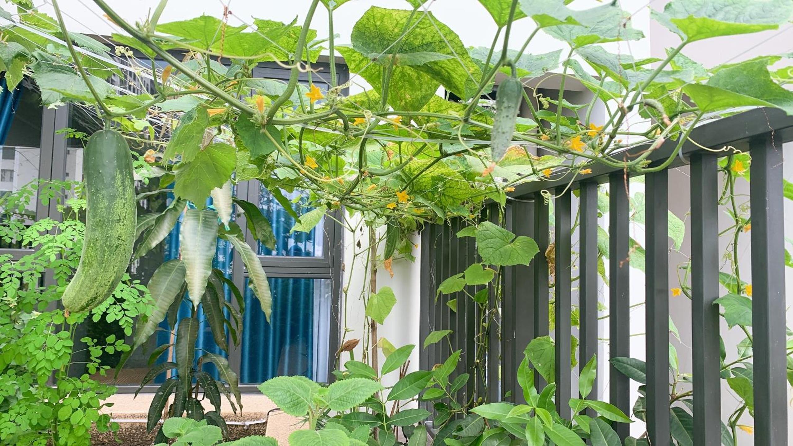 Bin's house