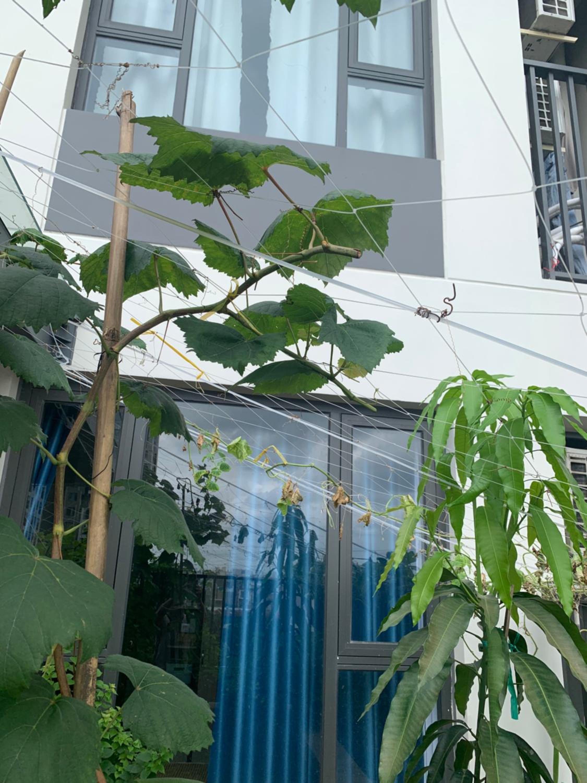Bin's house