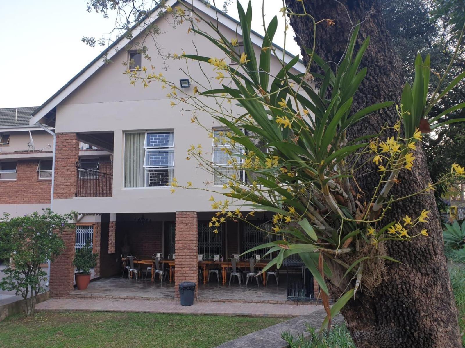 The Green Lizard Guesthouse