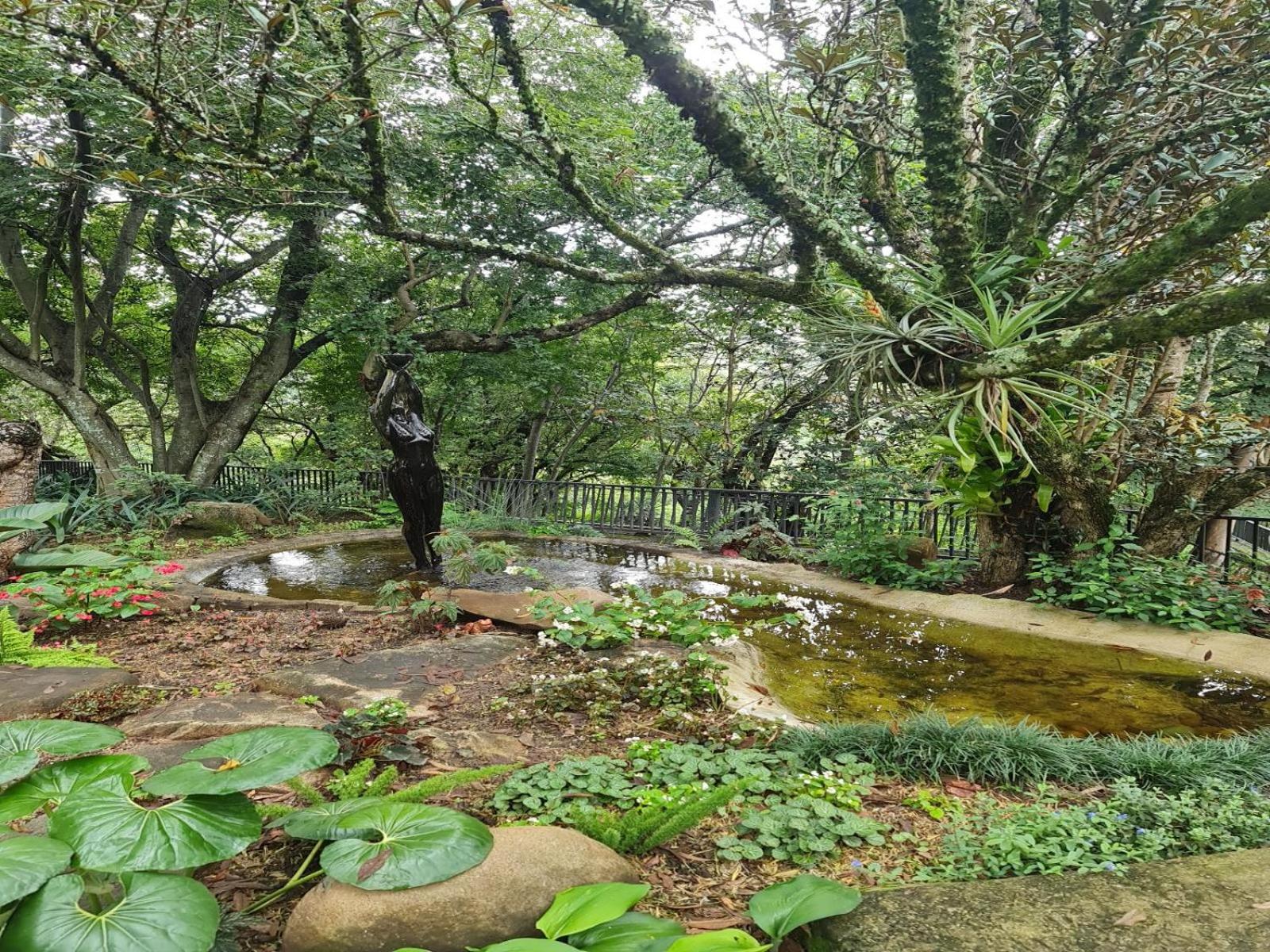 The Green Lizard Guesthouse view 2