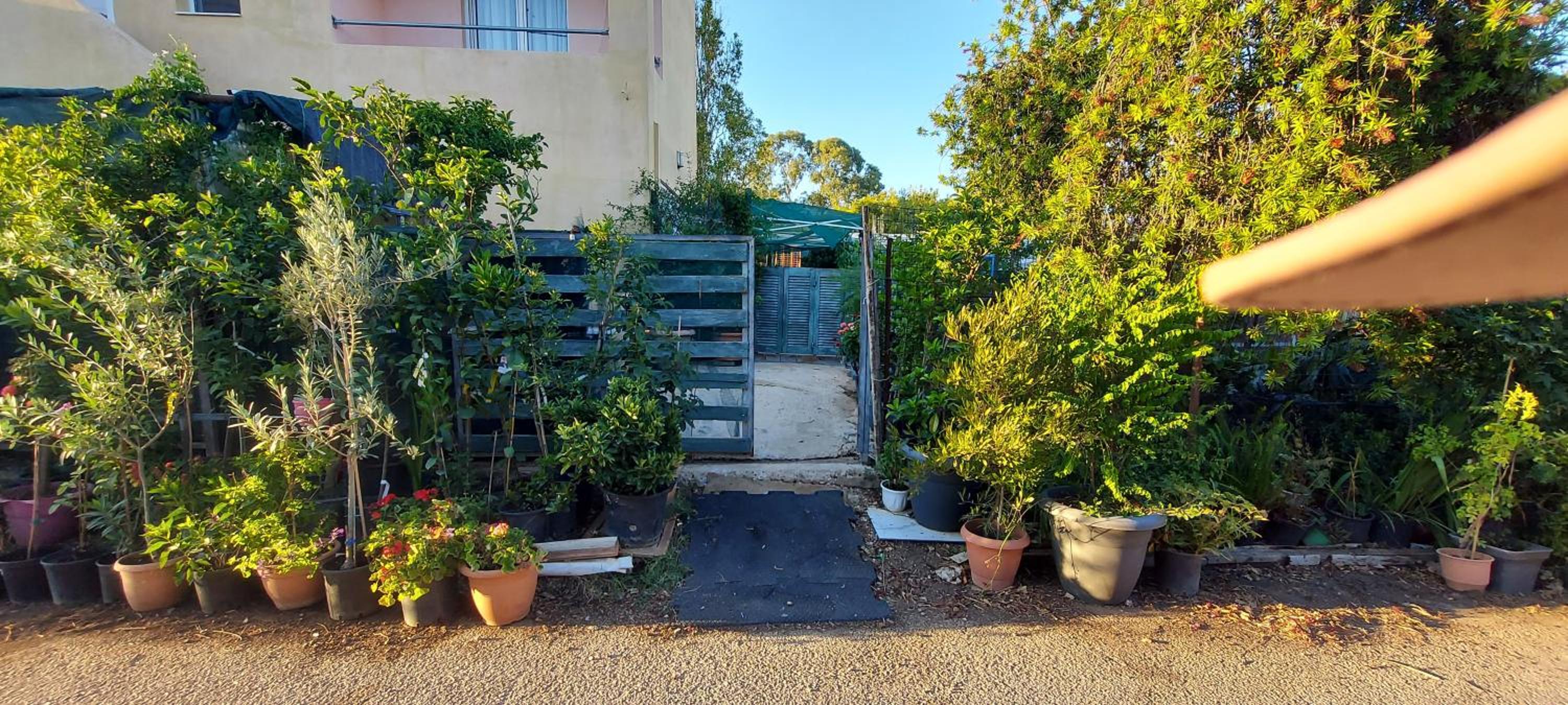 Billy's apartments photo 5