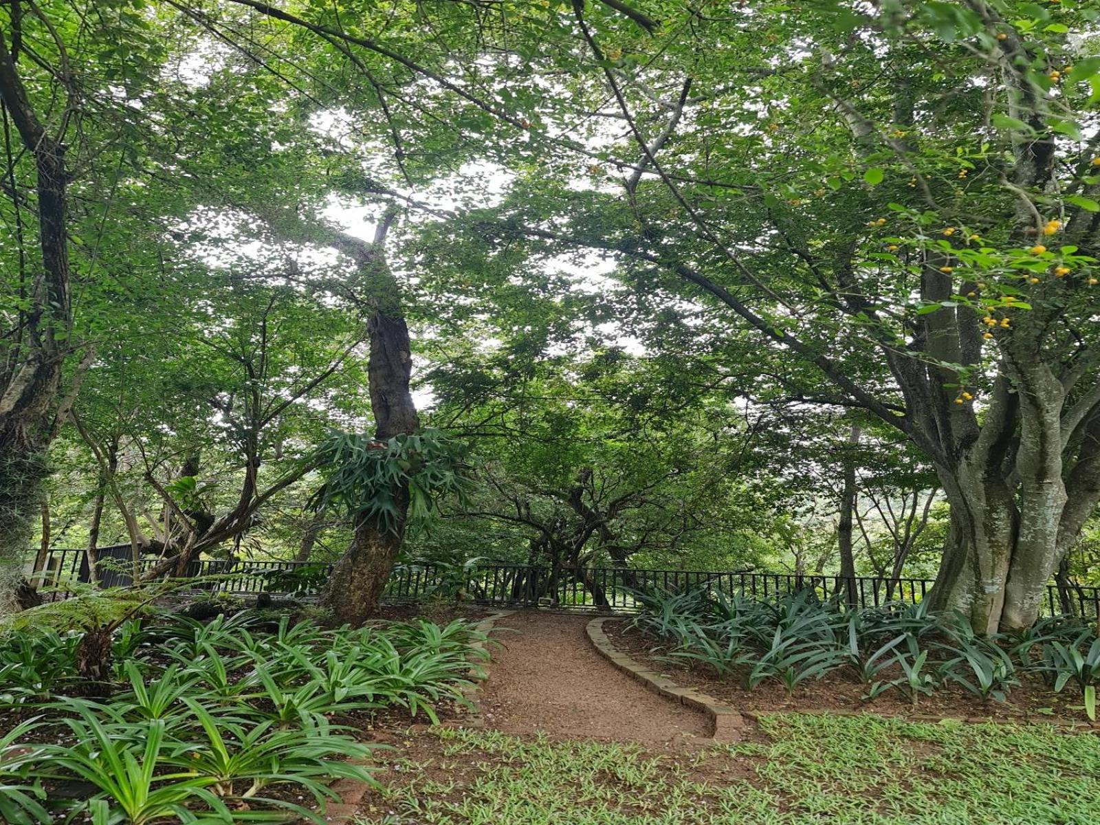 The Green Lizard Guesthouse view 3