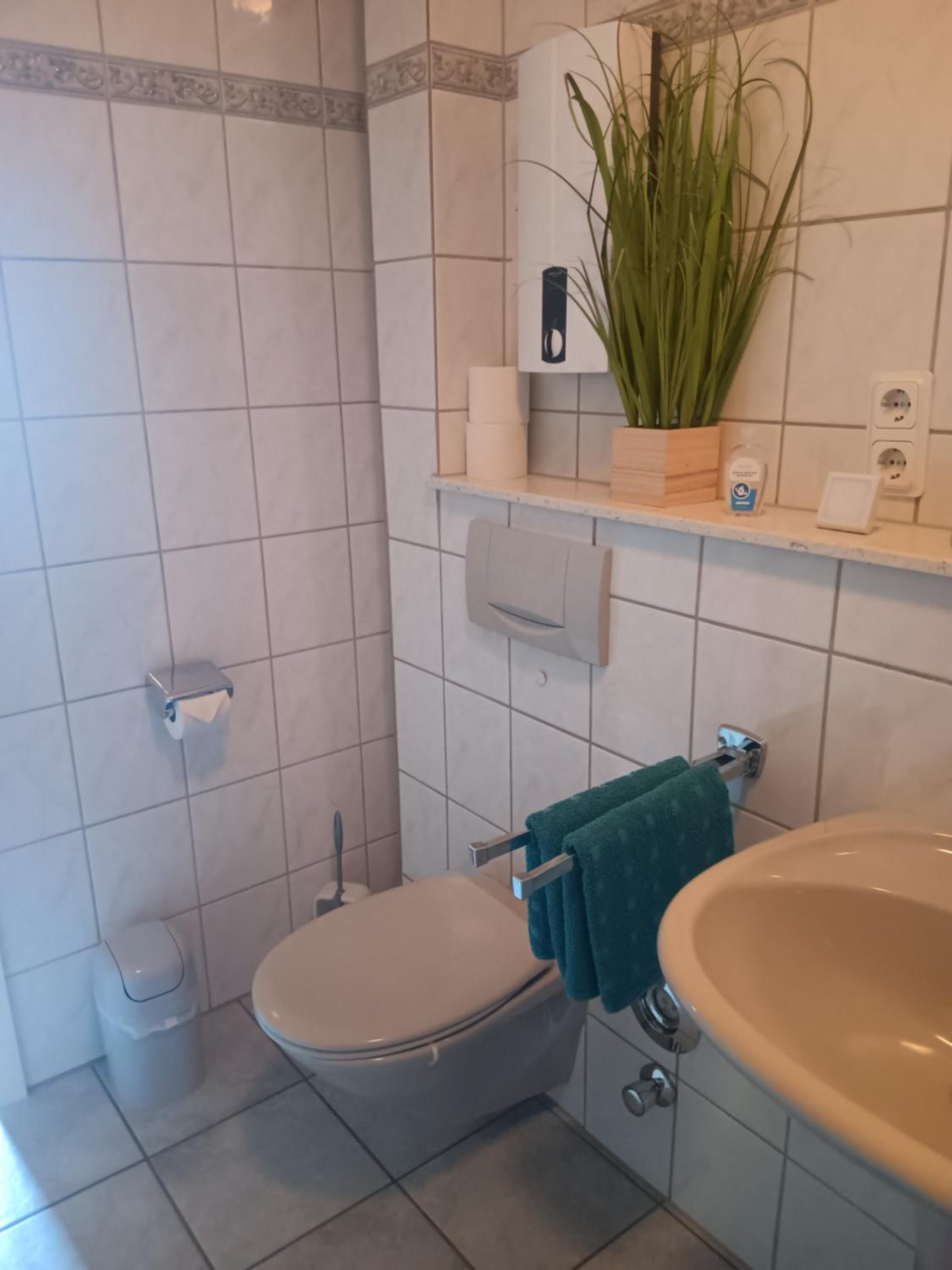 Ferienwohnung Mattheiser Weiher view 5