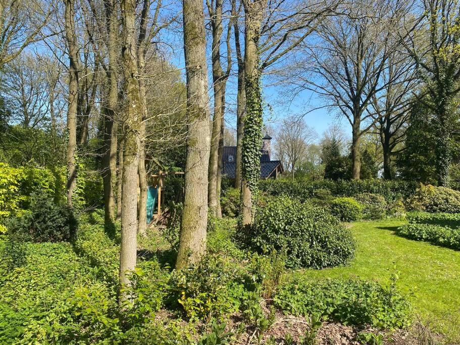 Bungalow Appelscha view 5
