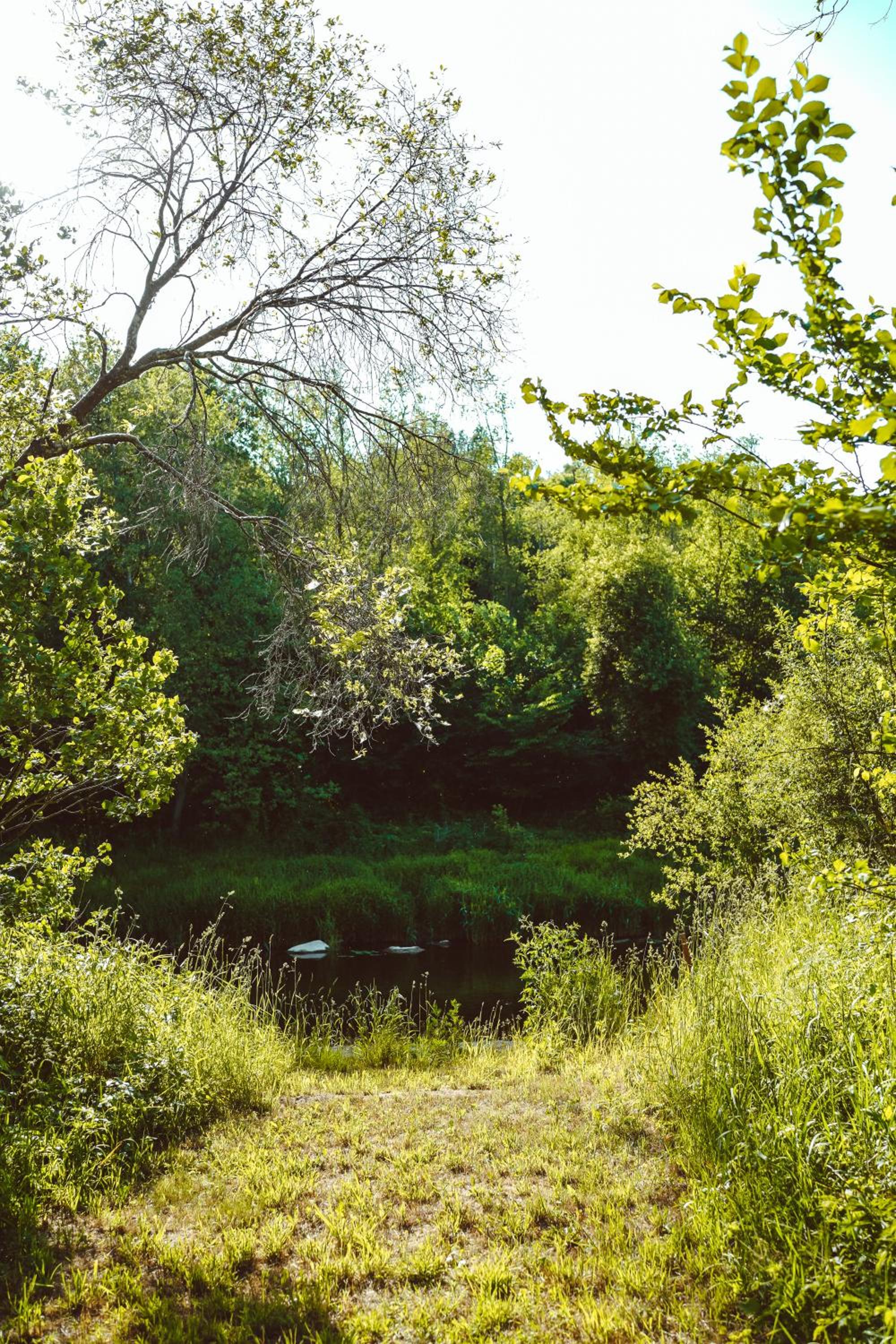Photo 23