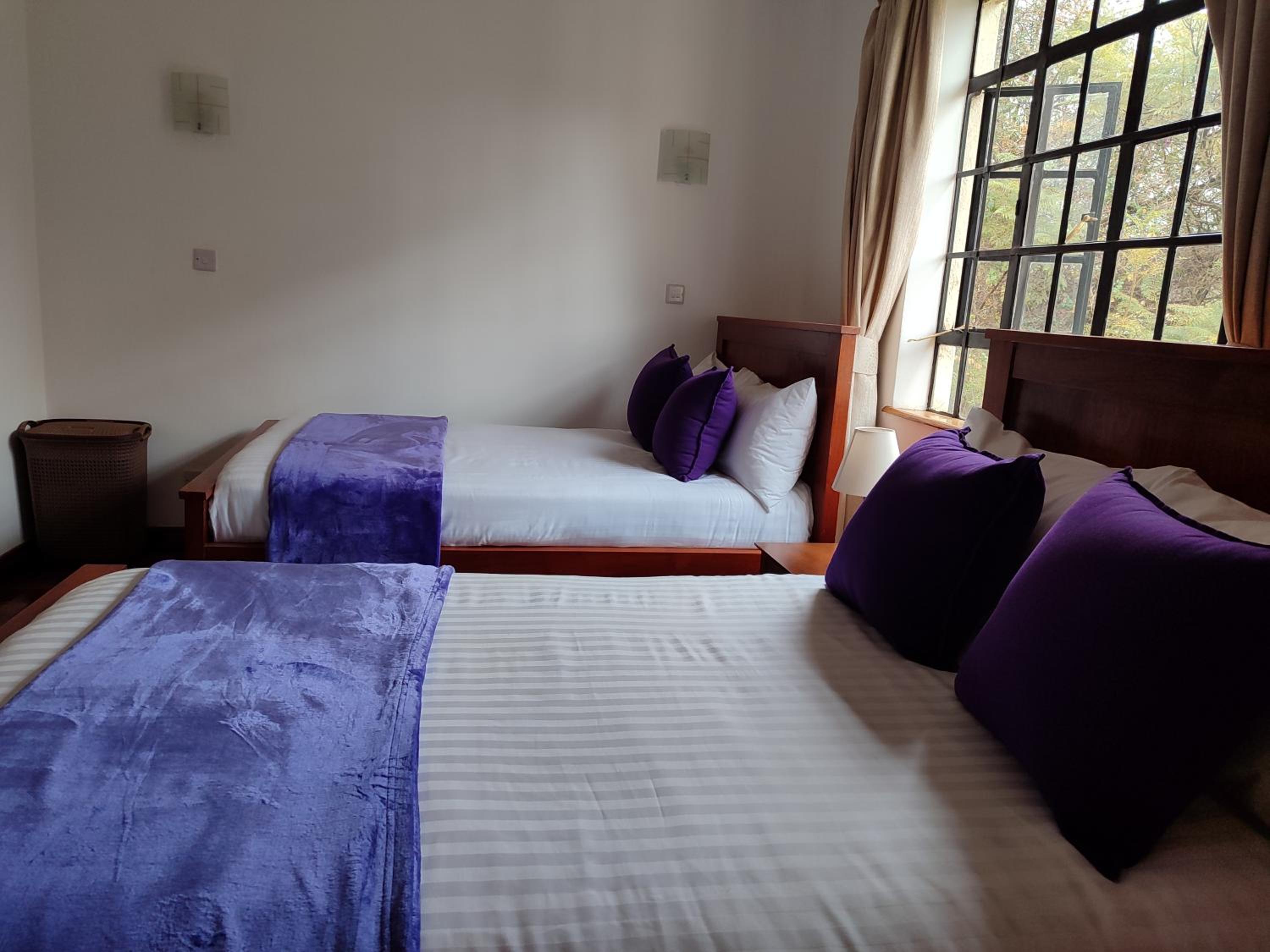 Bamboo Springs Apartment view 2