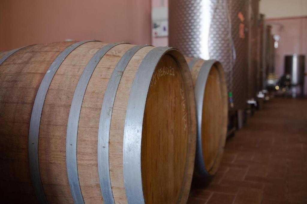 Appartamenti Casalsole