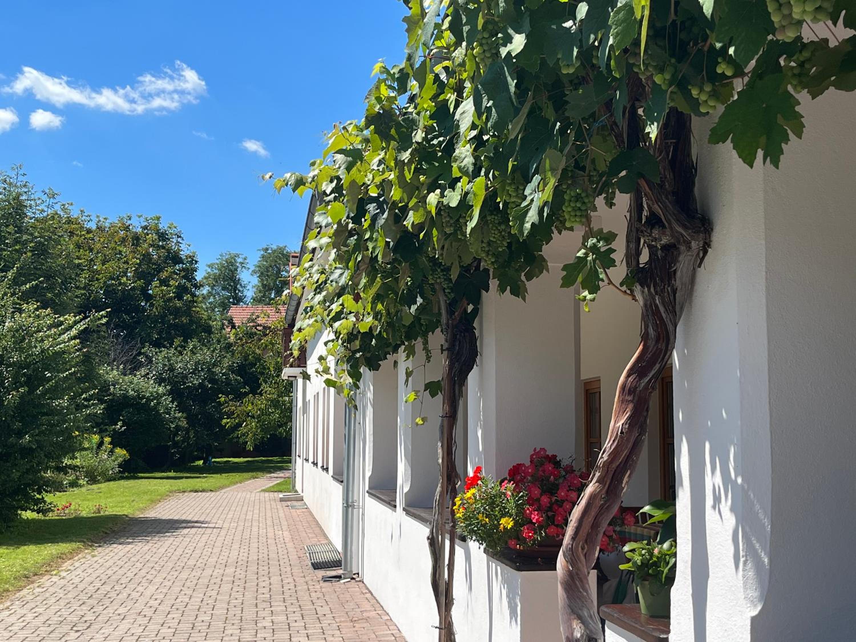 Pension Buch, Bed and Breakfast