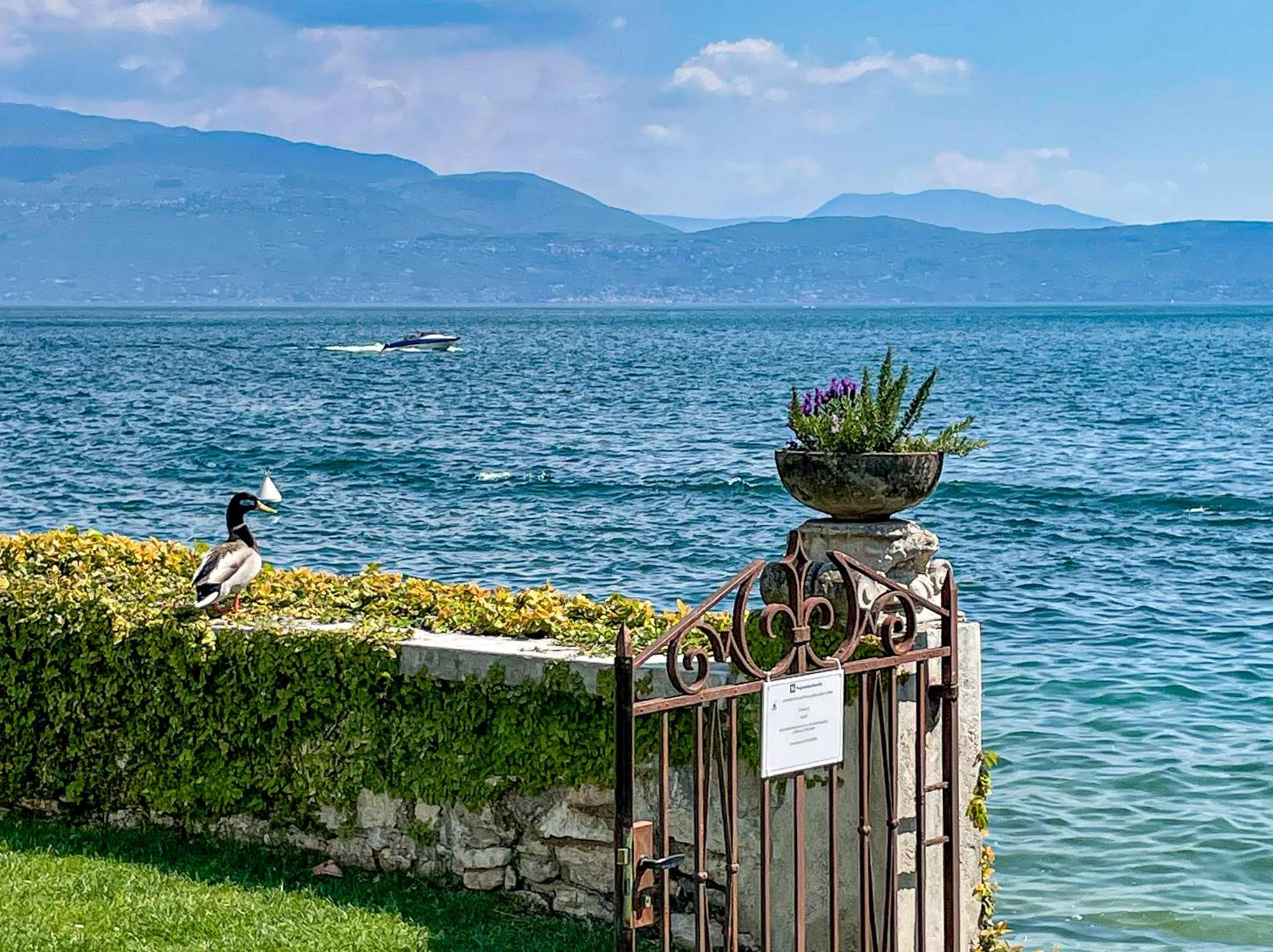 Luxury Lakeside Apartment right on the water view 5