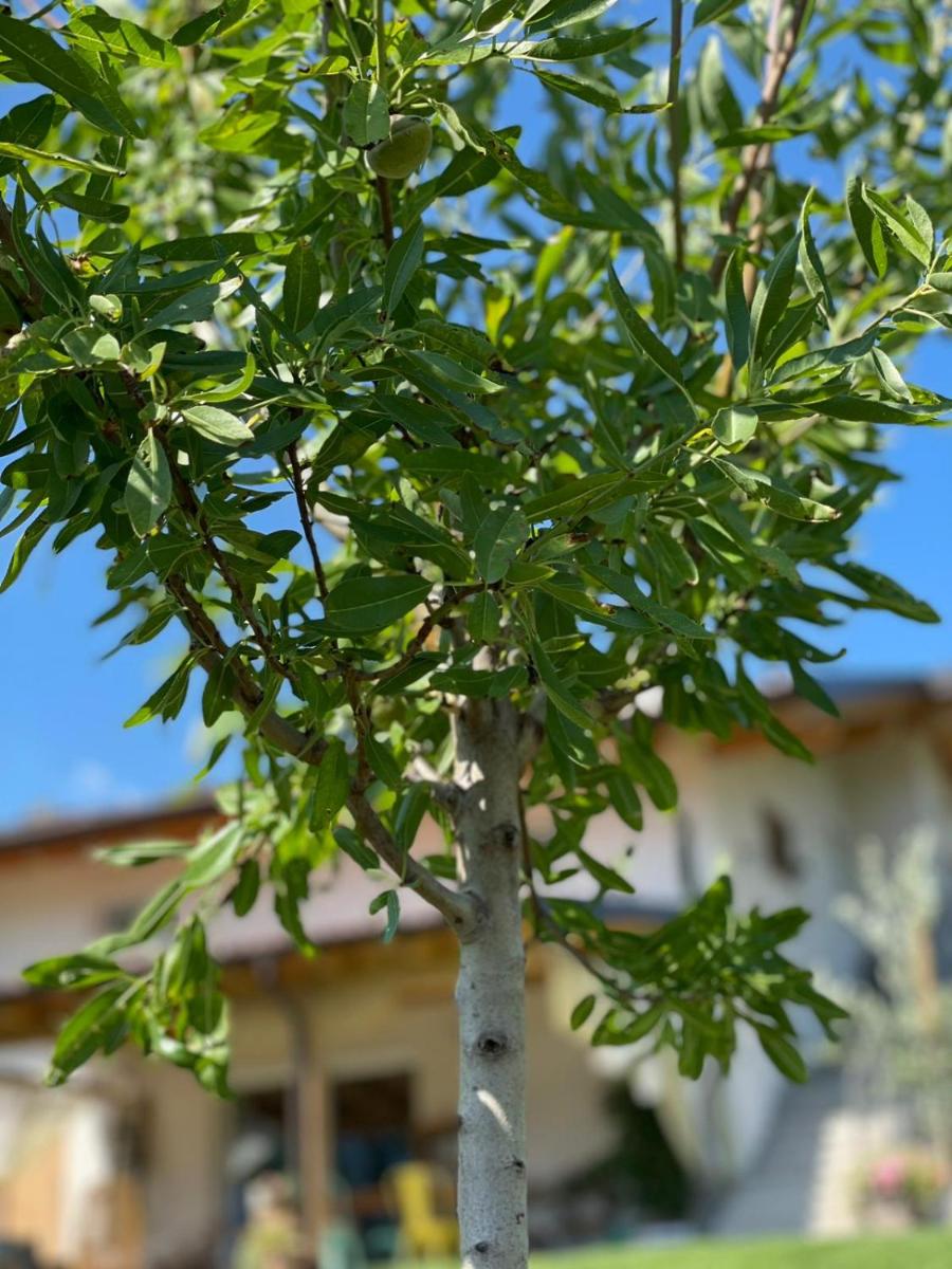 Photo 44