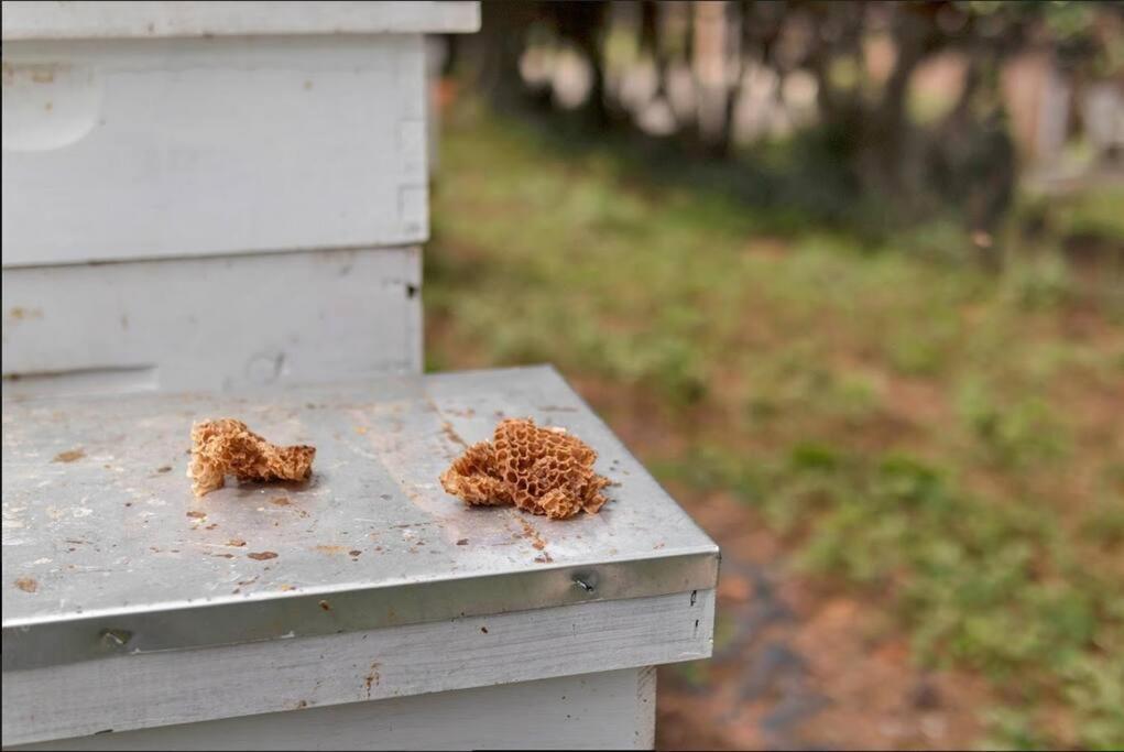 Miscellaneous Market Vacations - Spacious basement Suite with super fast WiFi - Property Image 4