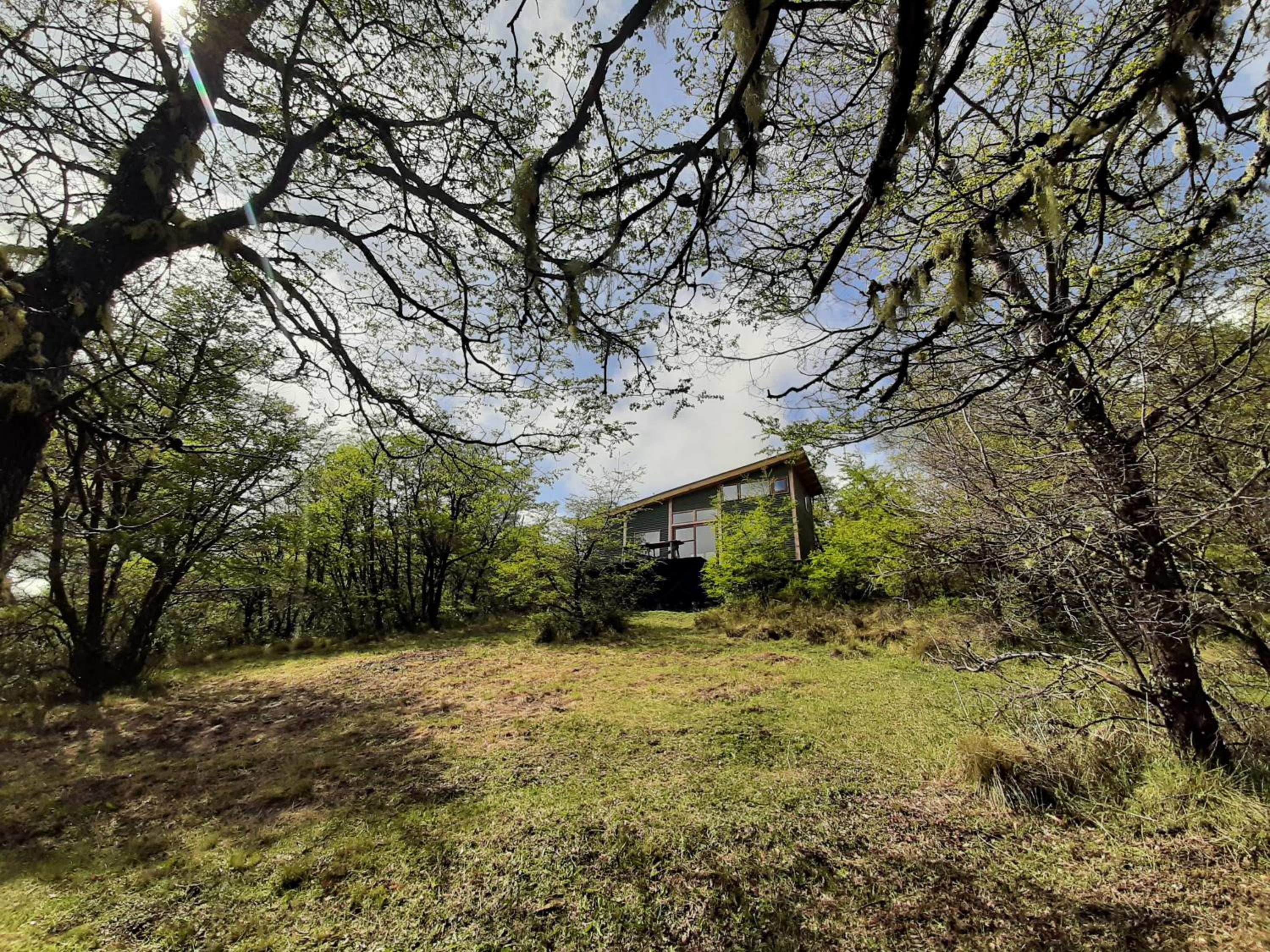 Cabaña entre Bosque y Cordillera