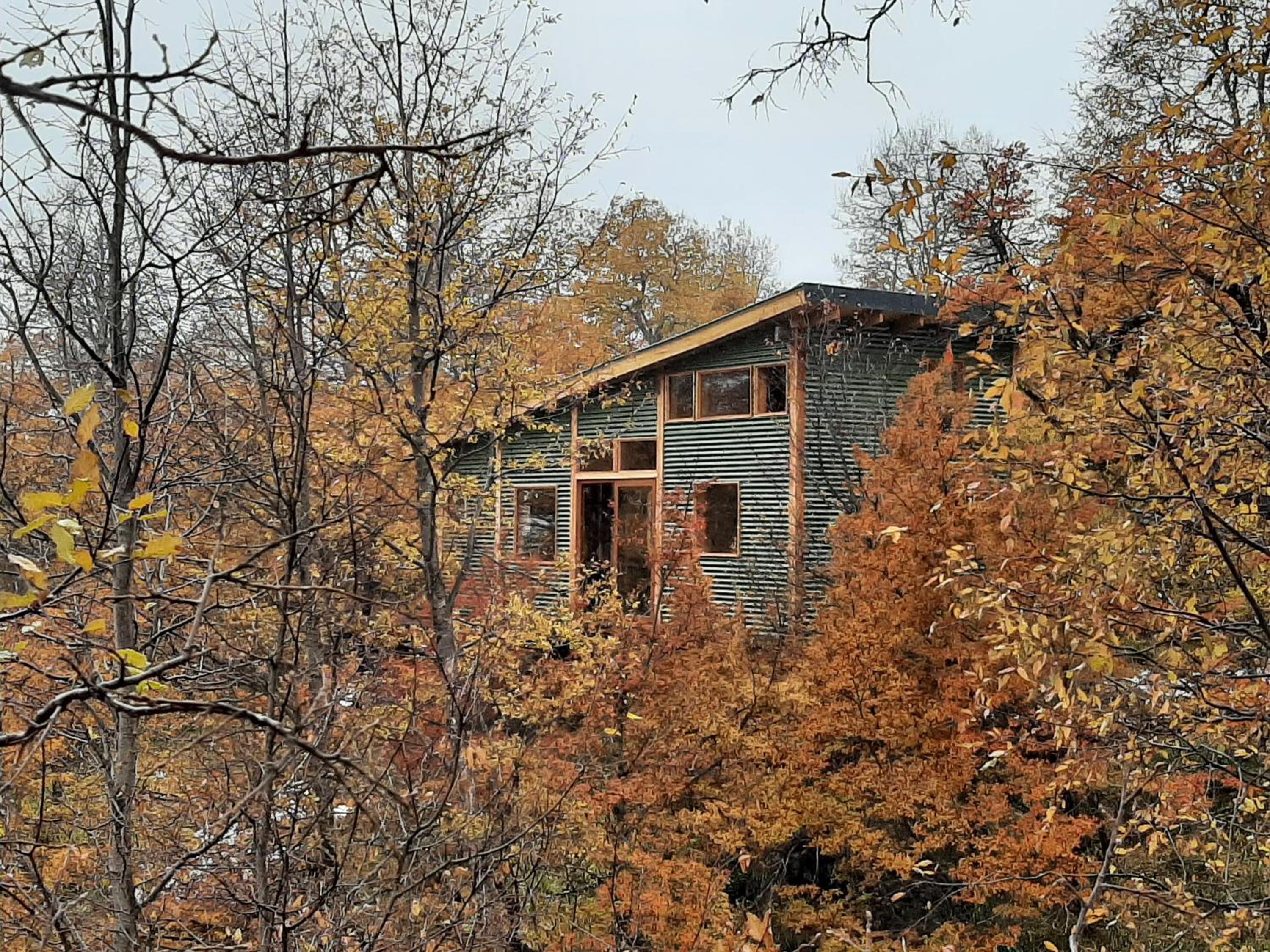 Cabaña entre Bosque y Cordillera