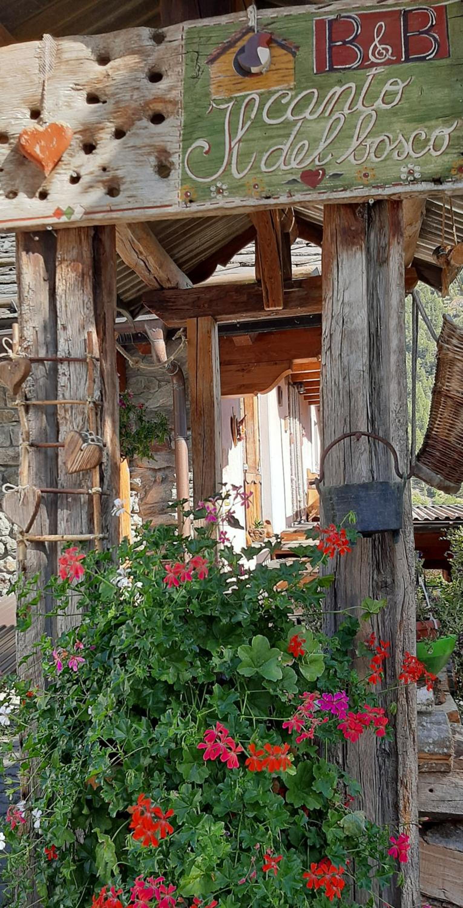 Il canto del bosco view 2