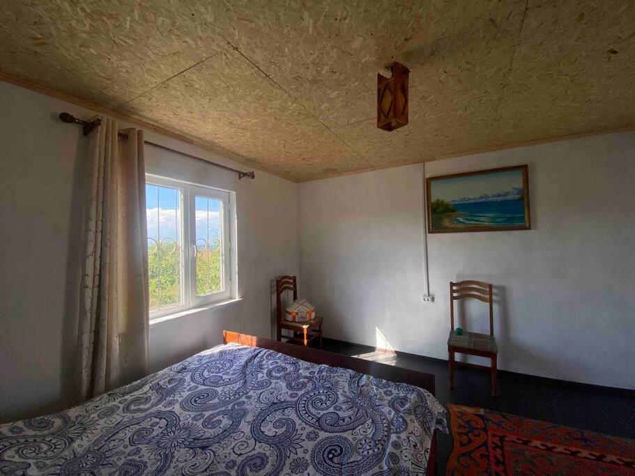 Guest house "U apashki" view 4