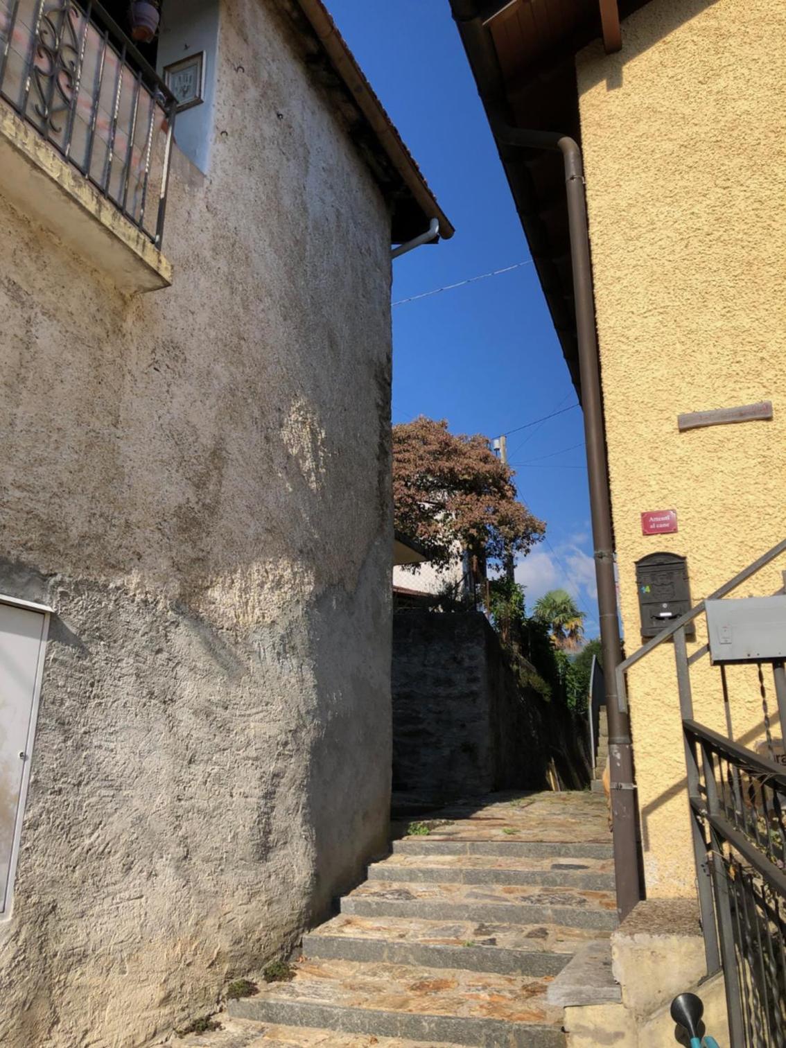 Casa dell'Arte