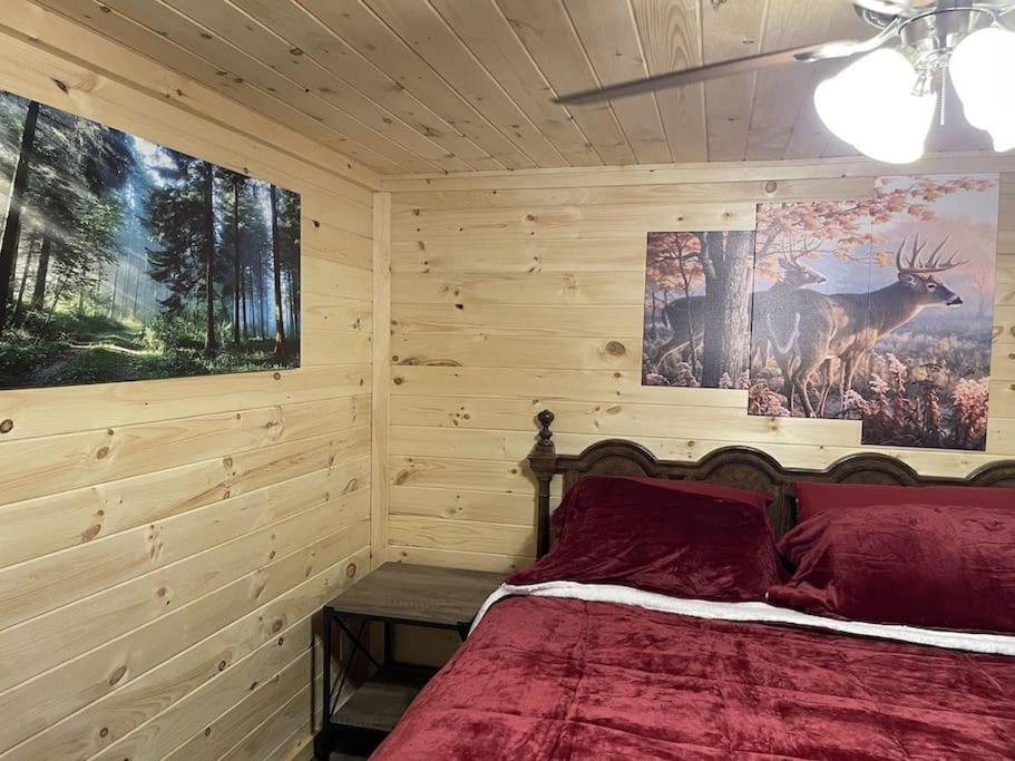 Creekside 3 bedroom 2 bath cabin on private creek view 4