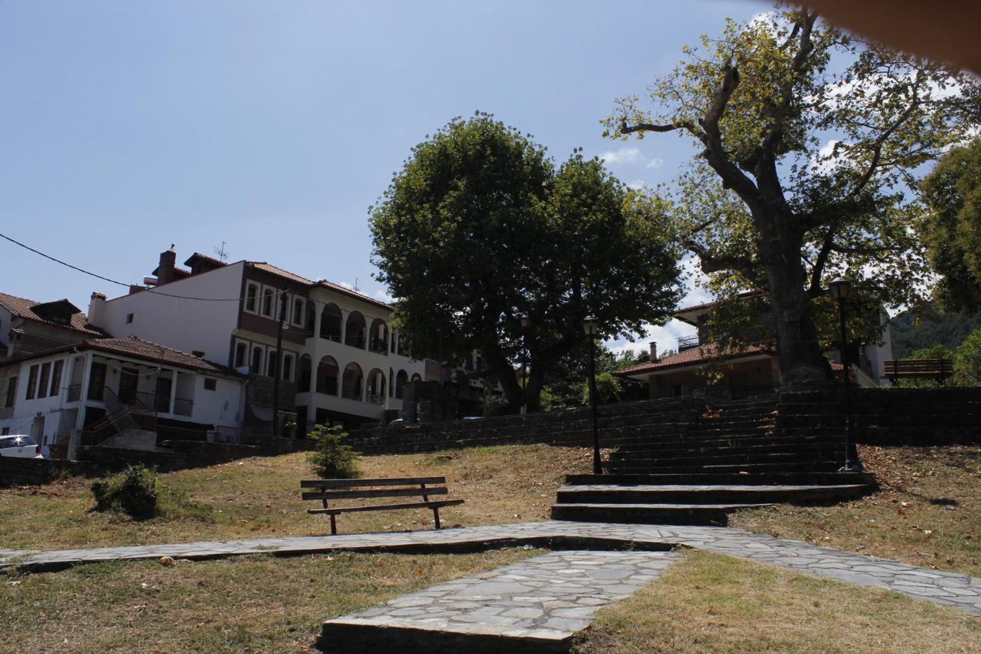 Photo 19