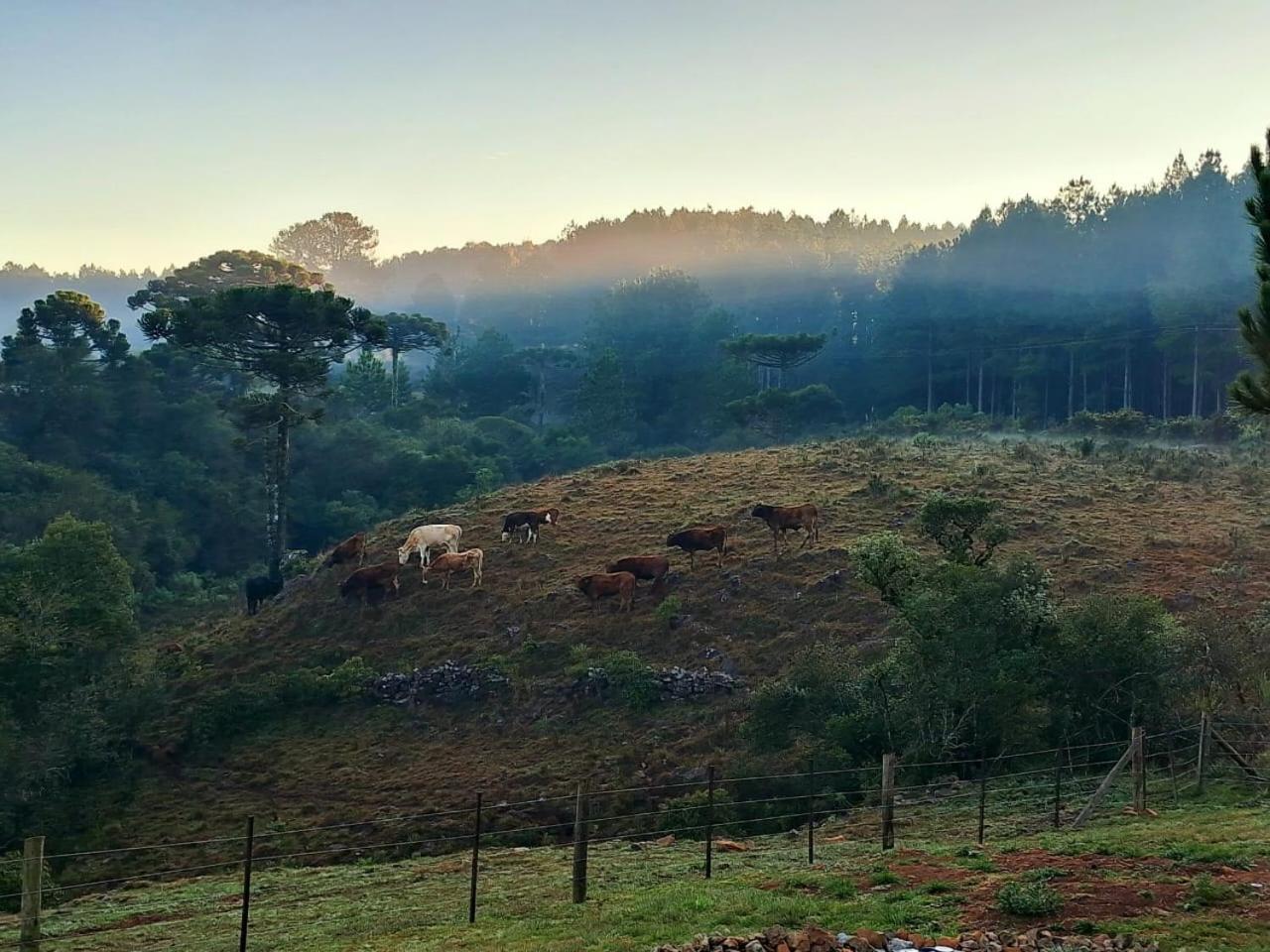 Sítio Passo do Carro