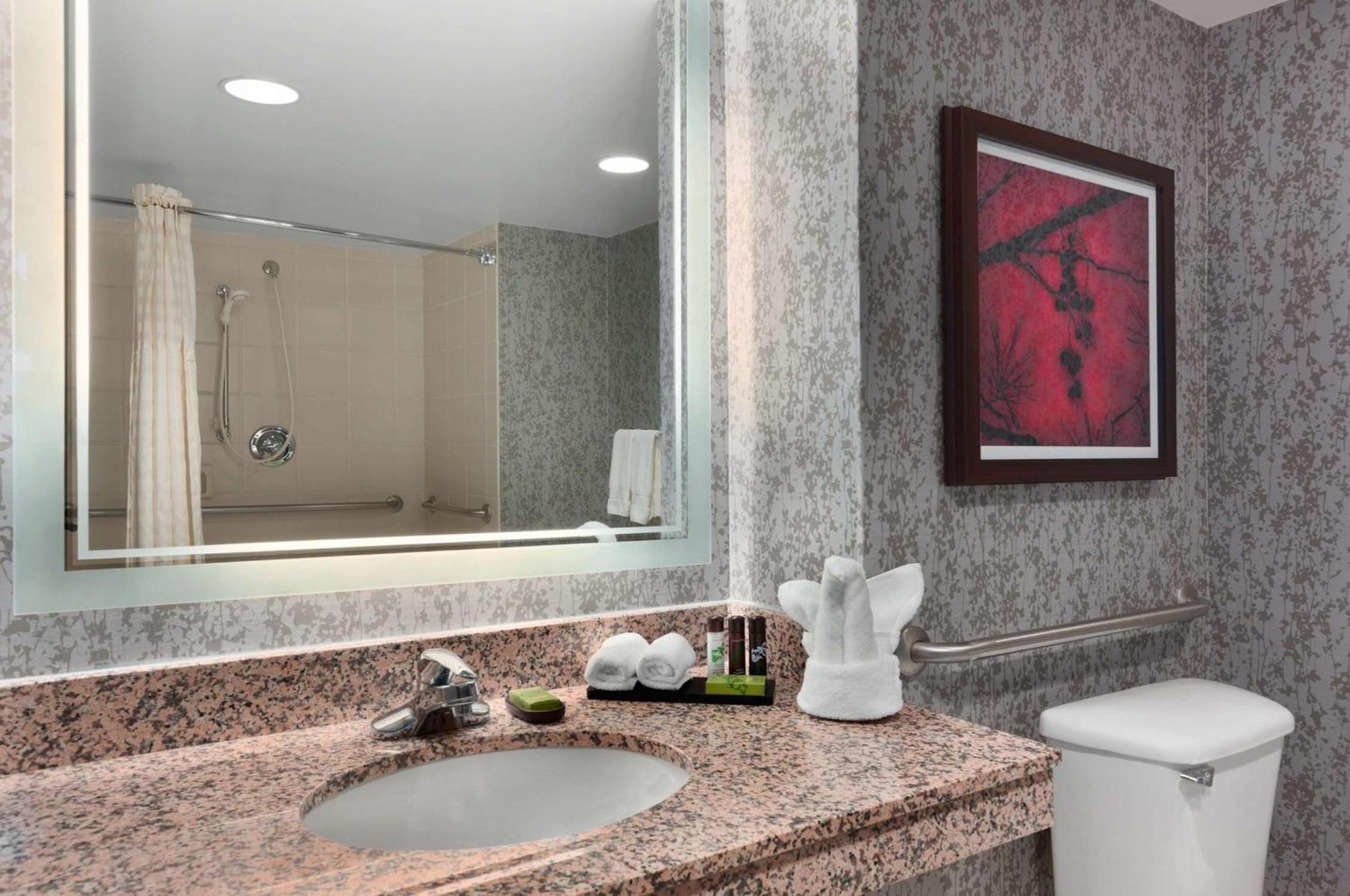 Embassy Suites by Hilton Dulles Airport - Property Image 27