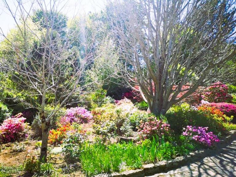 Hogsback Hidden Away