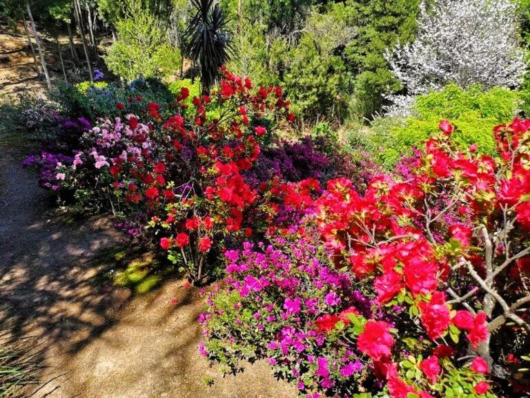 Hogsback Hidden Away