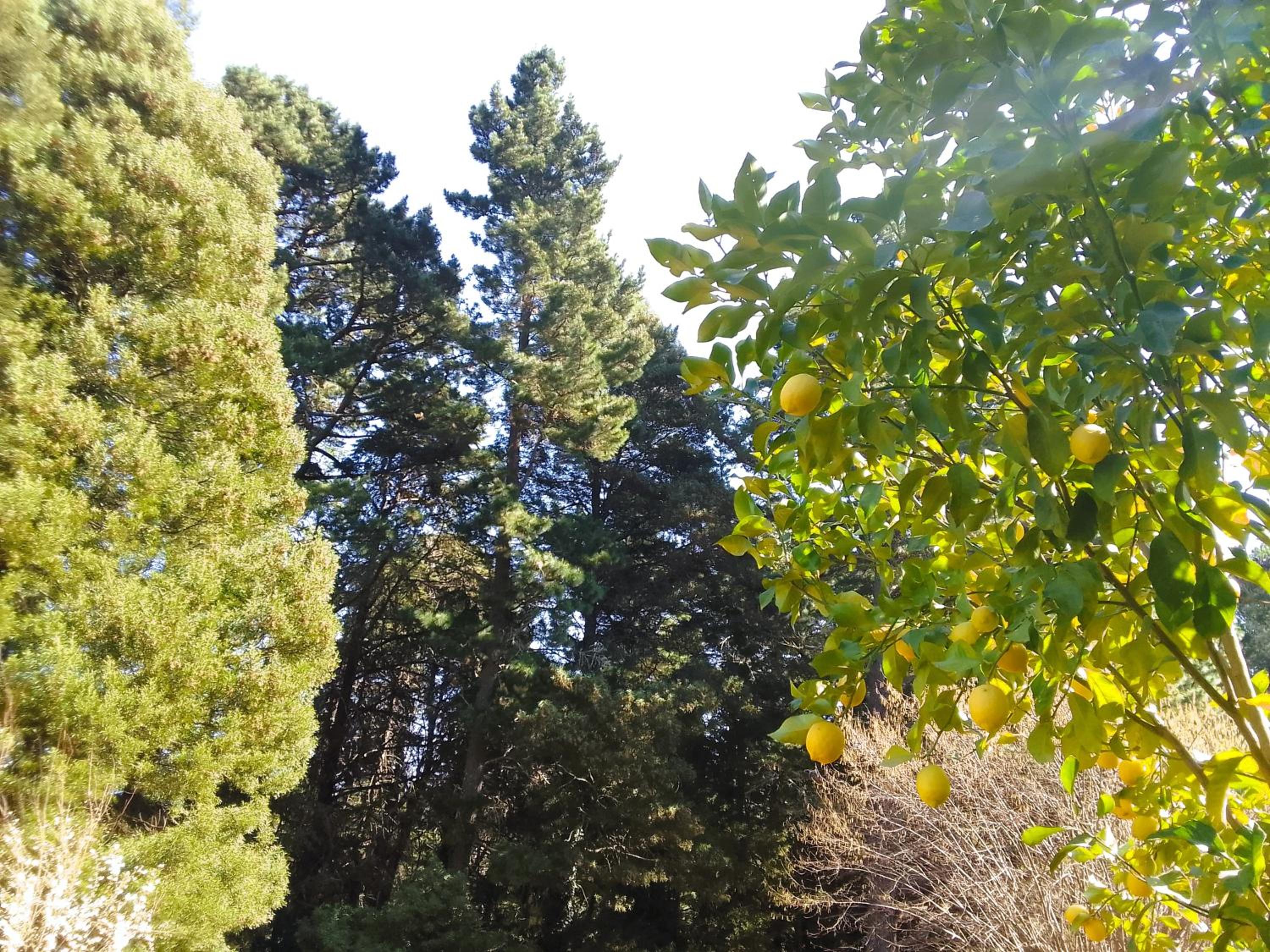 Hogsback Hidden Away