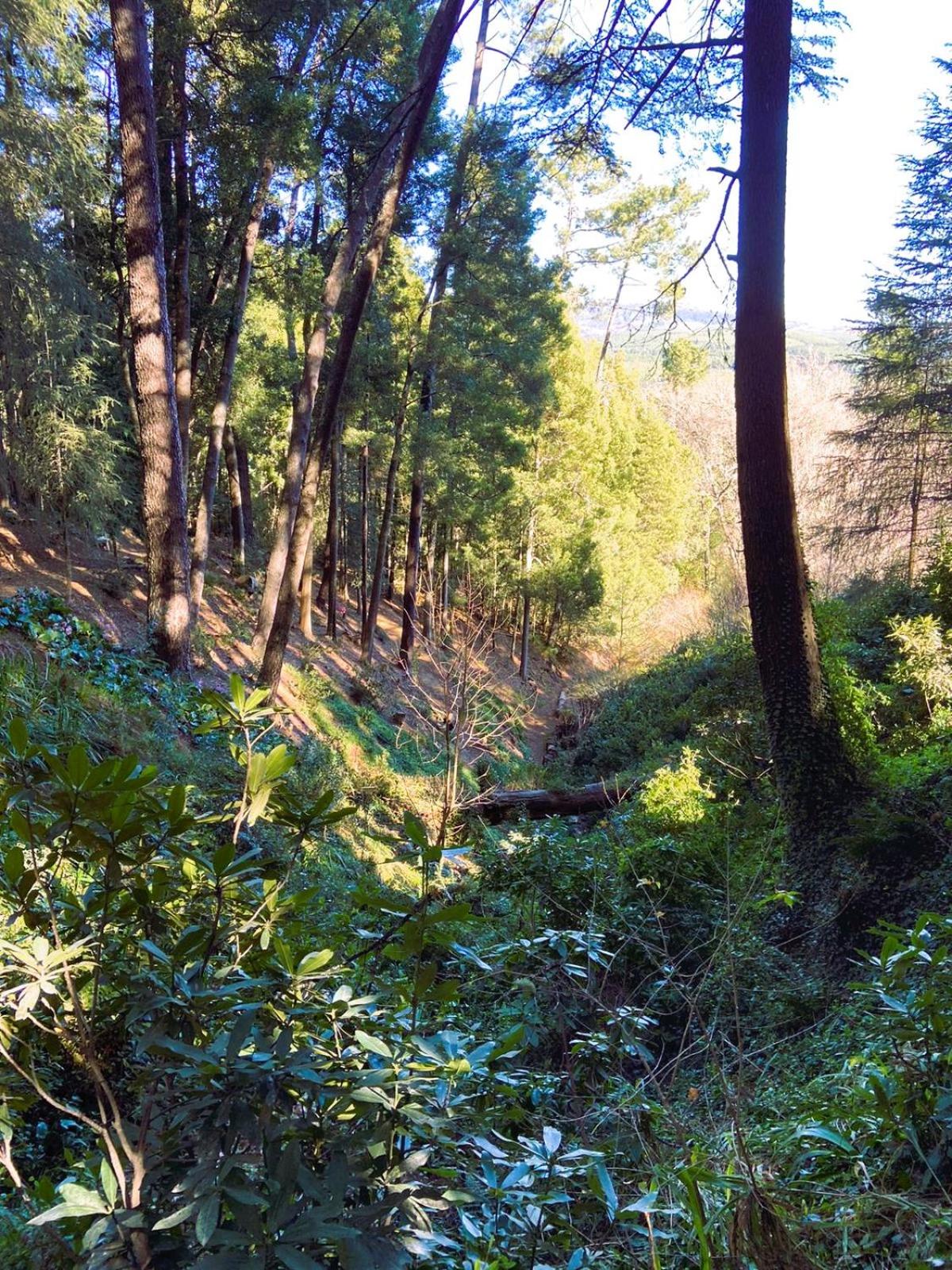 Hogsback Hidden Away