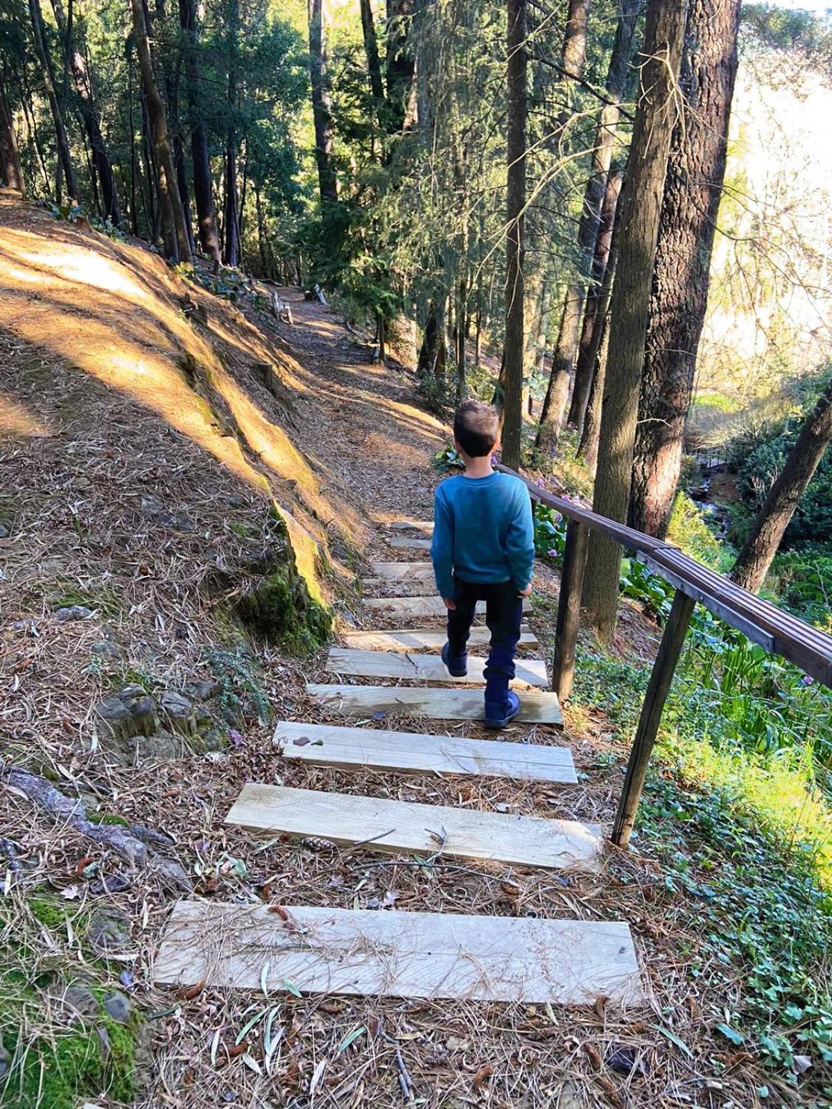 Hogsback Hidden Away