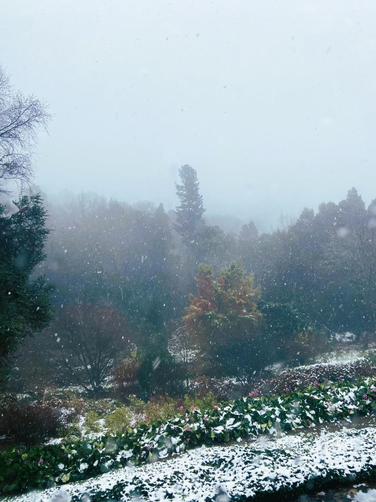 Hogsback Hidden Away
