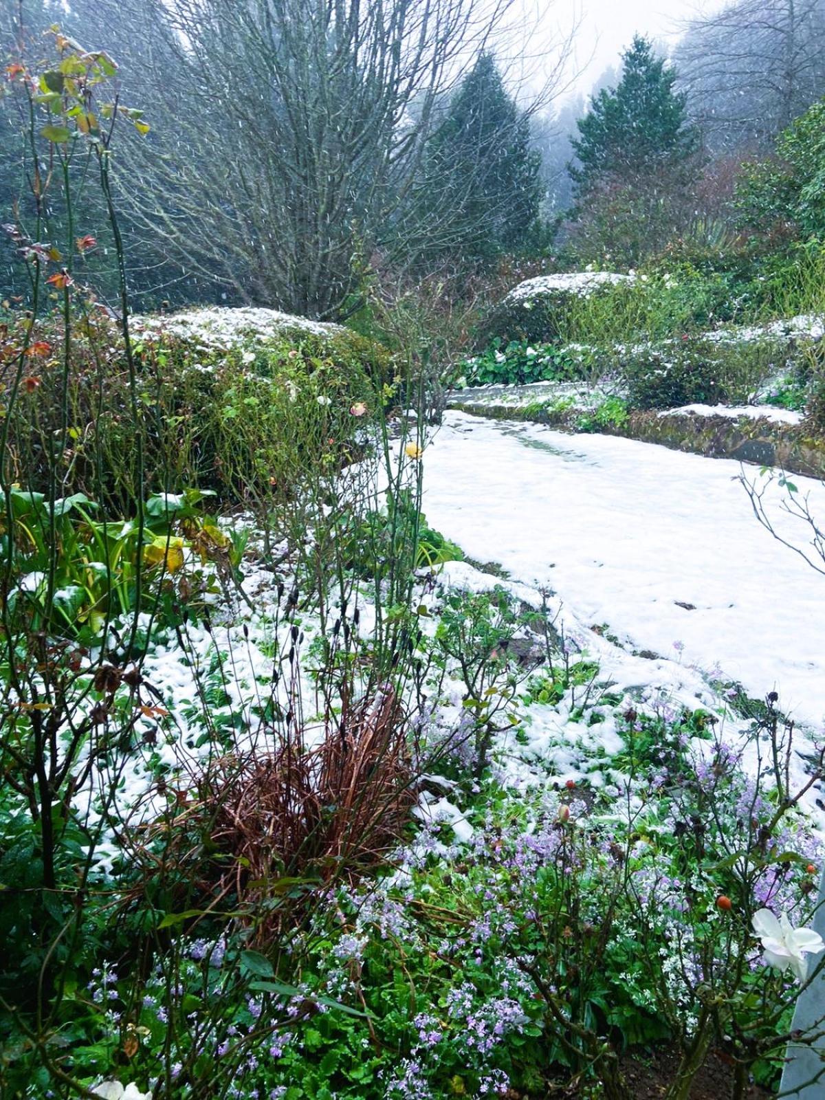 Hogsback Hidden Away