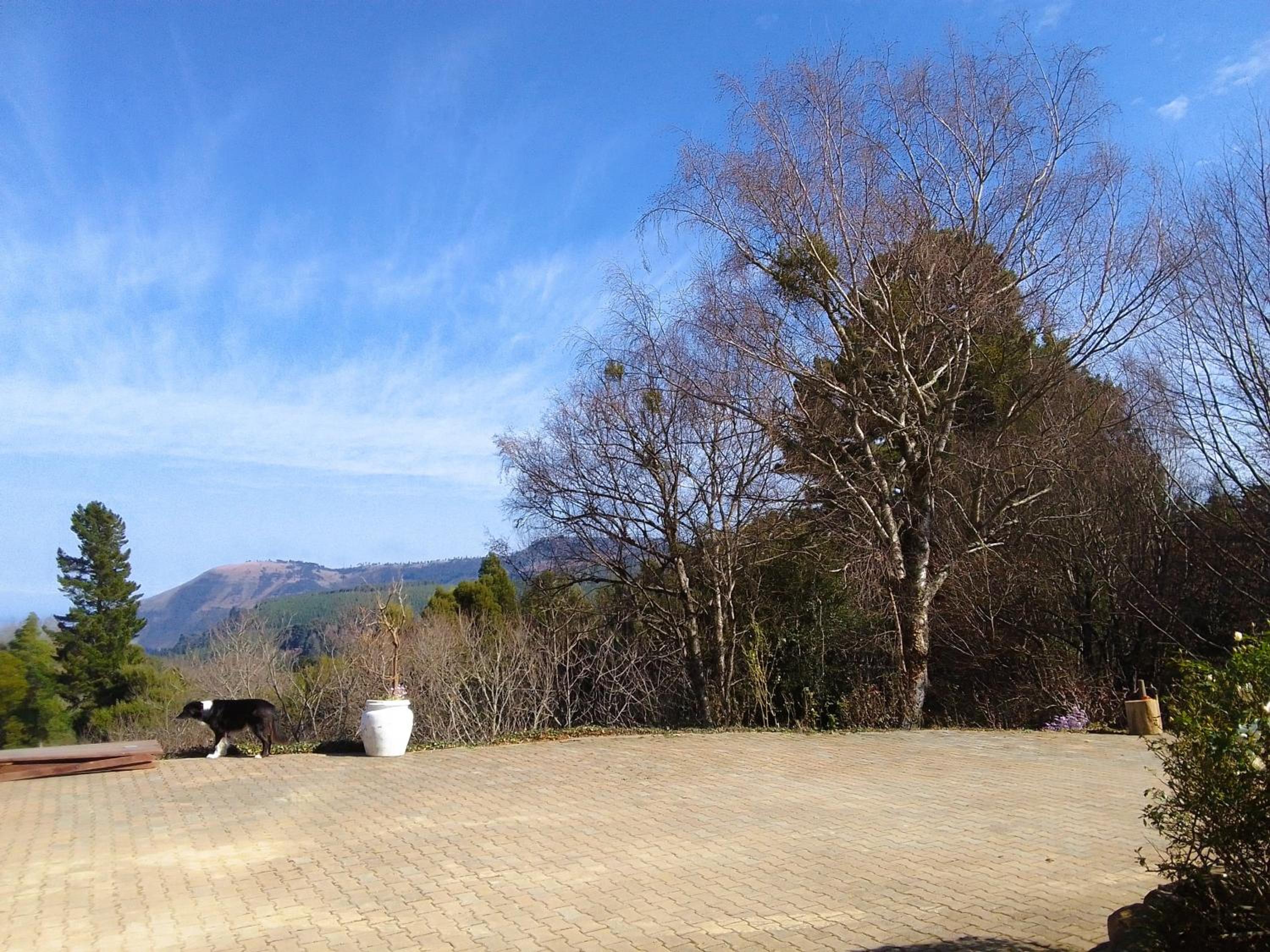 Hogsback Hidden Away