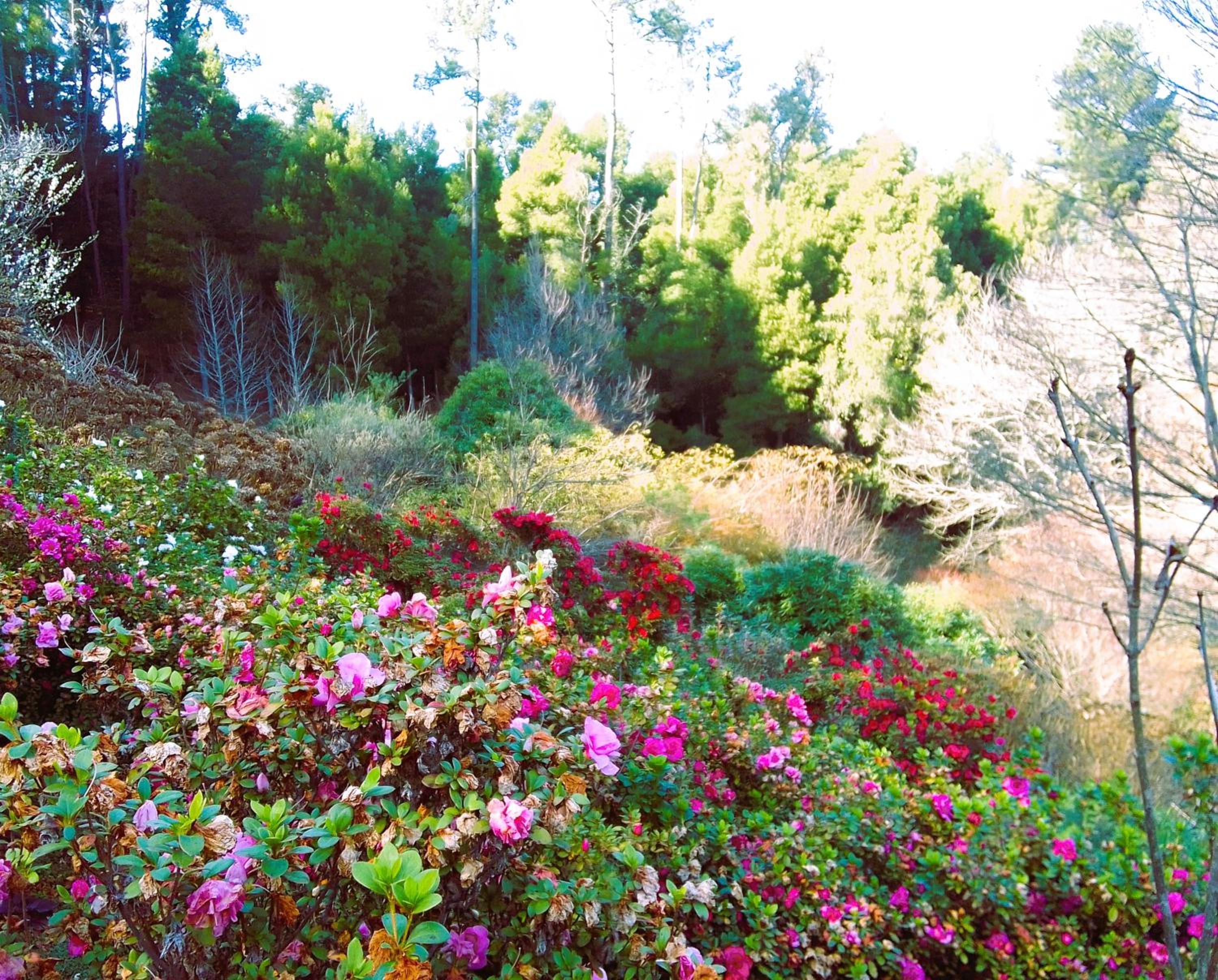Hogsback Hidden Away