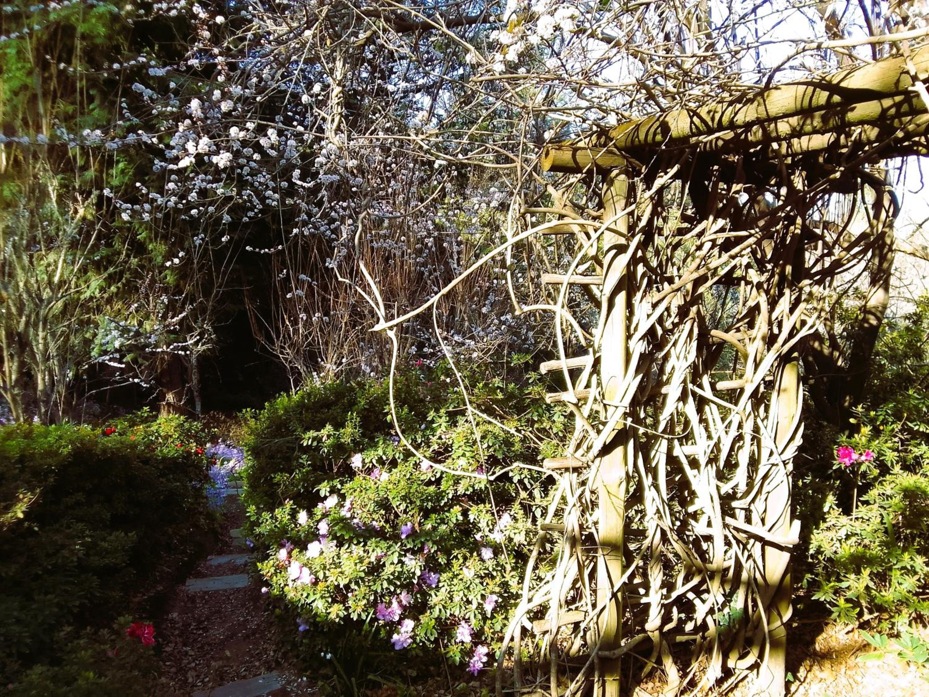 Hogsback Hidden Away