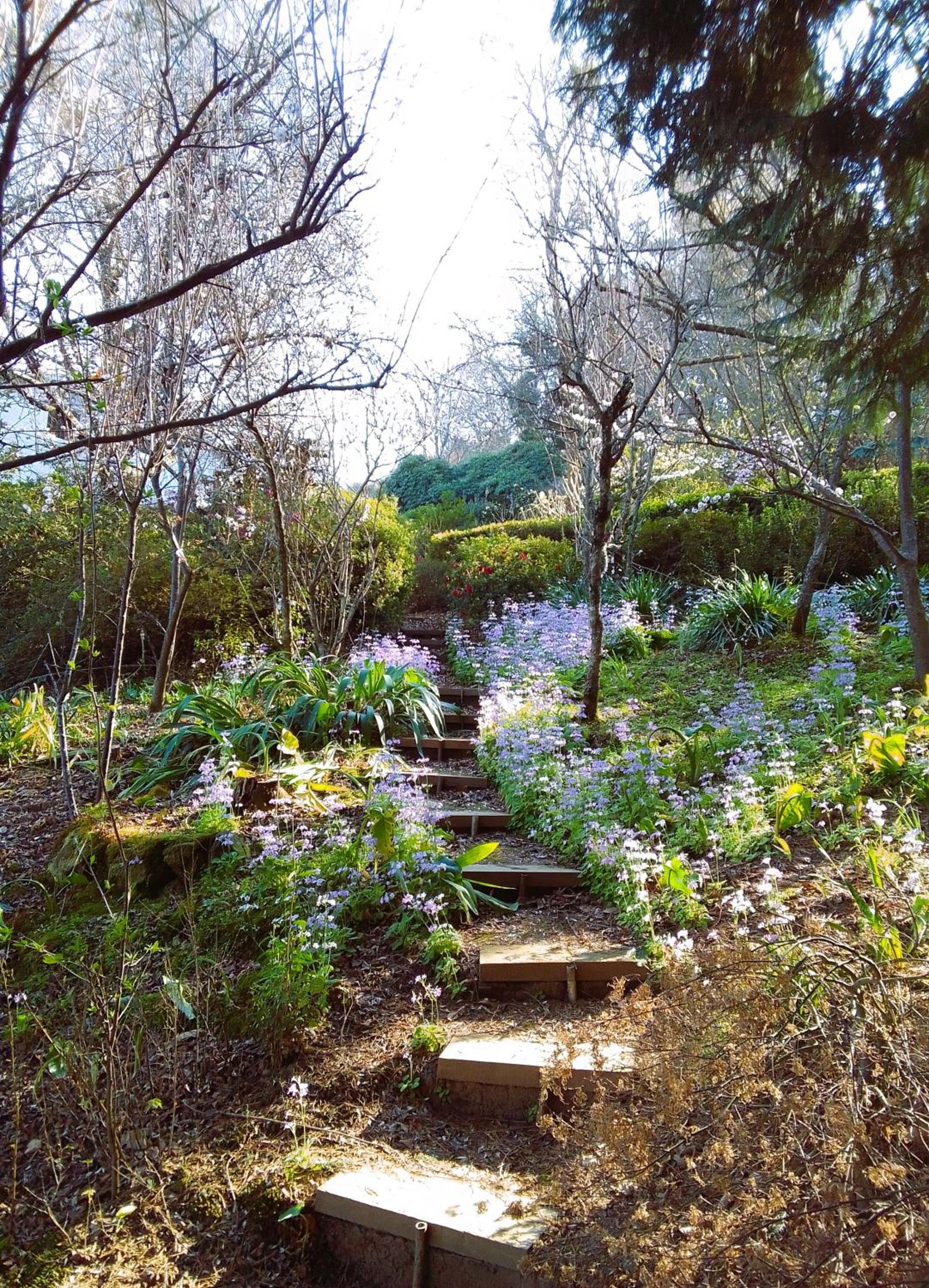 Hogsback Hidden Away