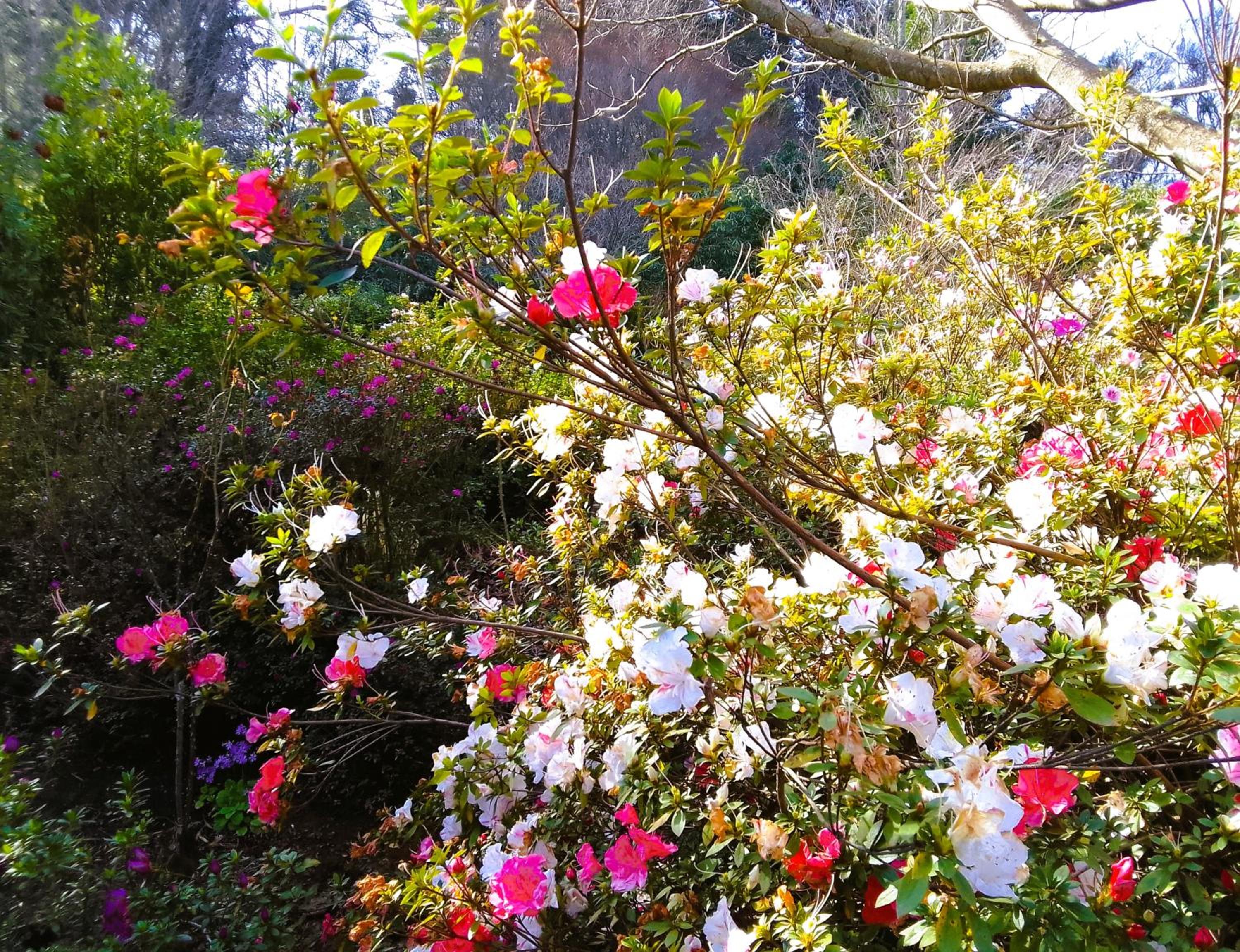 Hogsback Hidden Away