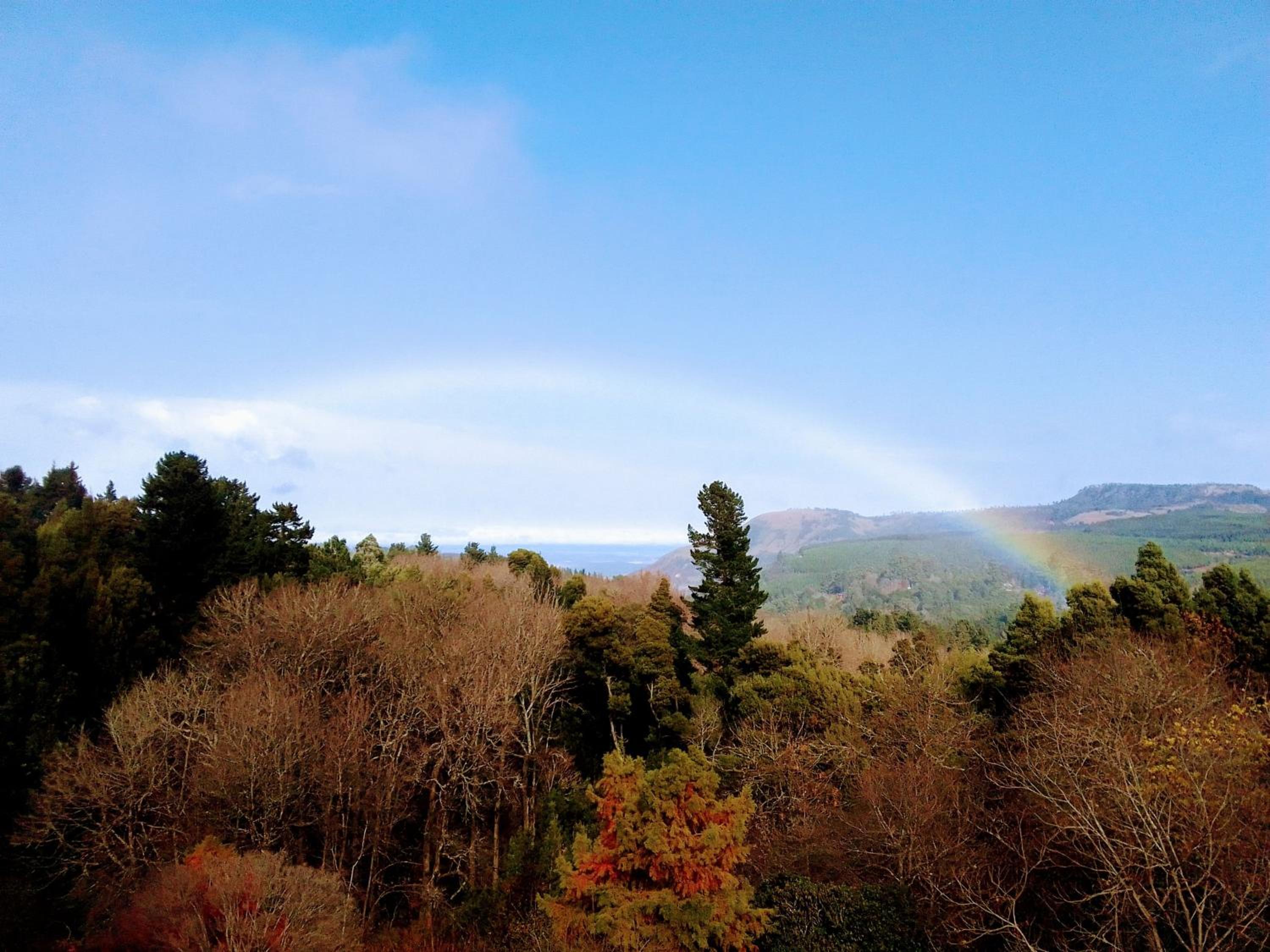 Hogsback Hidden Away