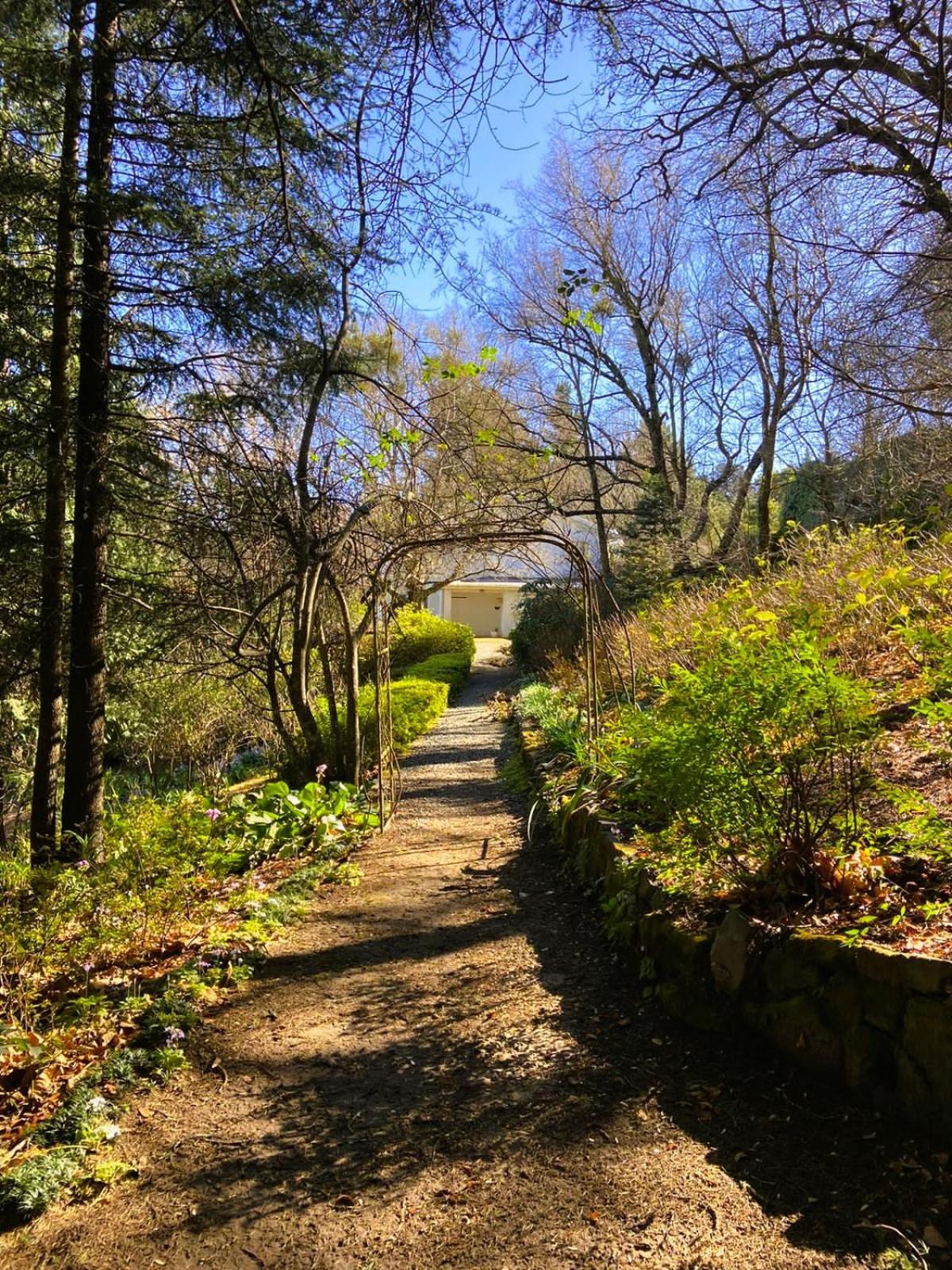 Hogsback Hidden Away