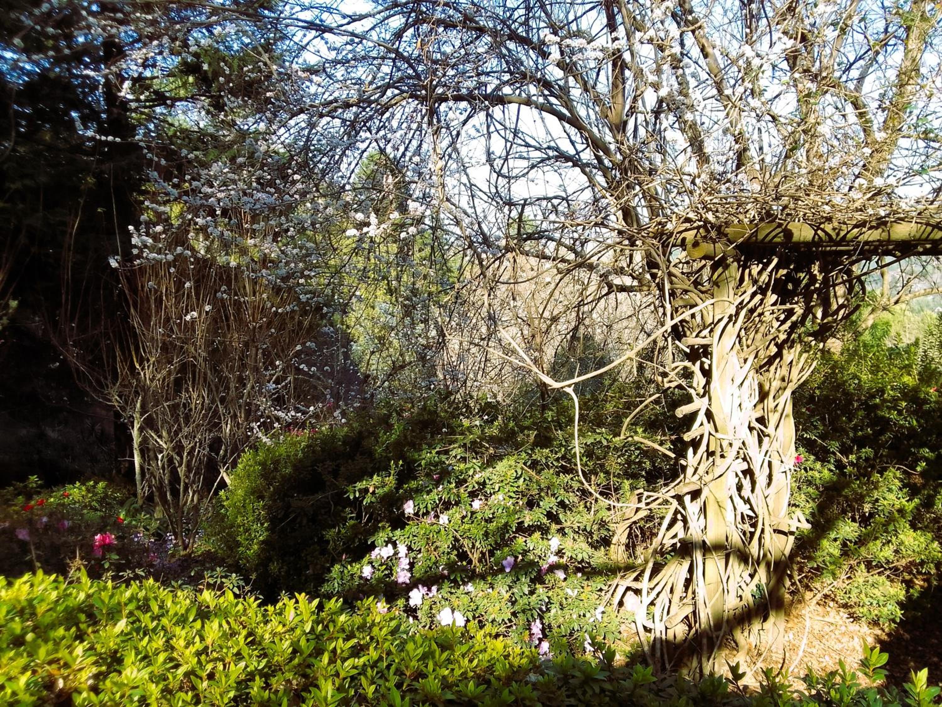 Hogsback Hidden Away