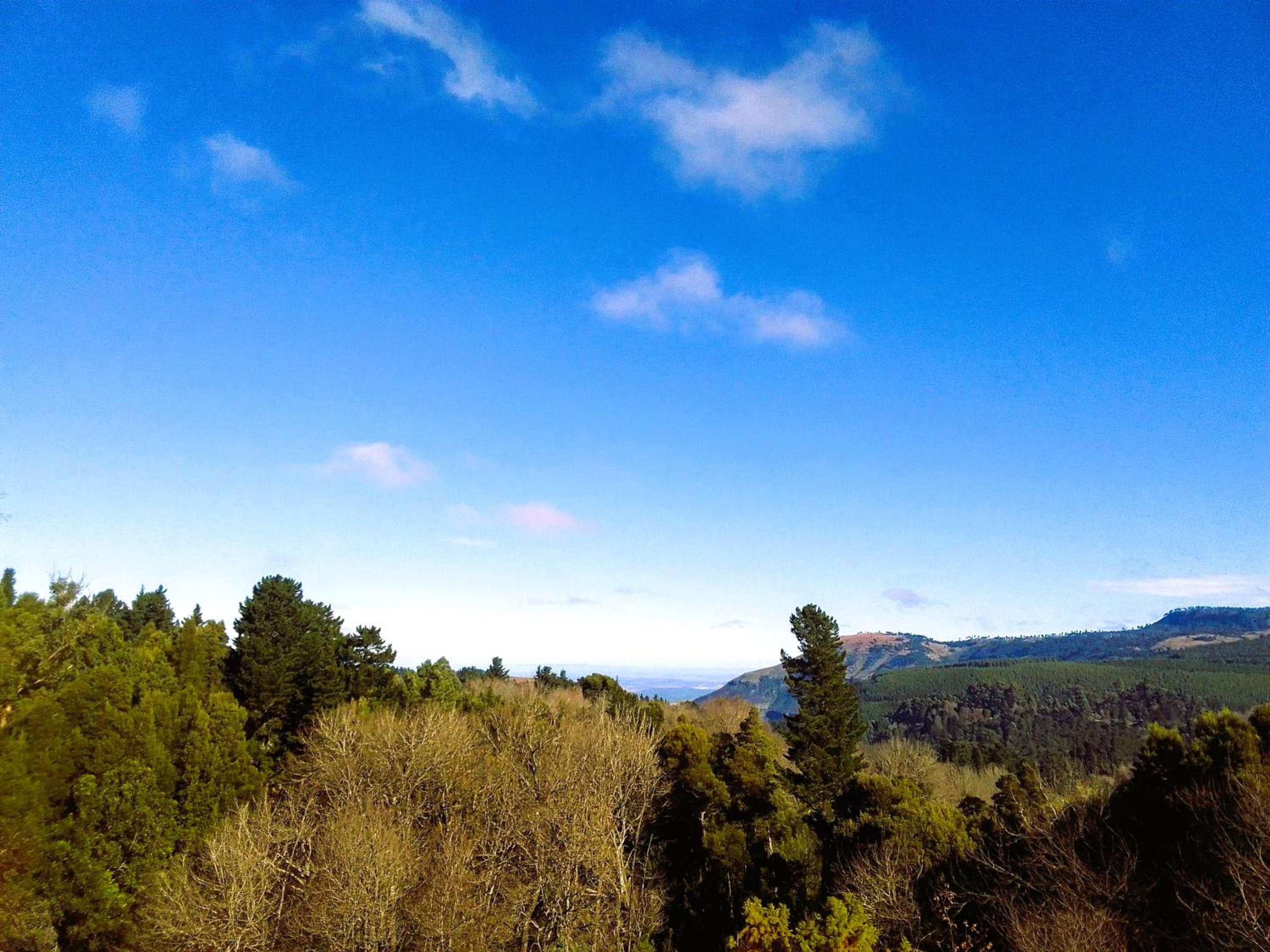 Hogsback Hidden Away