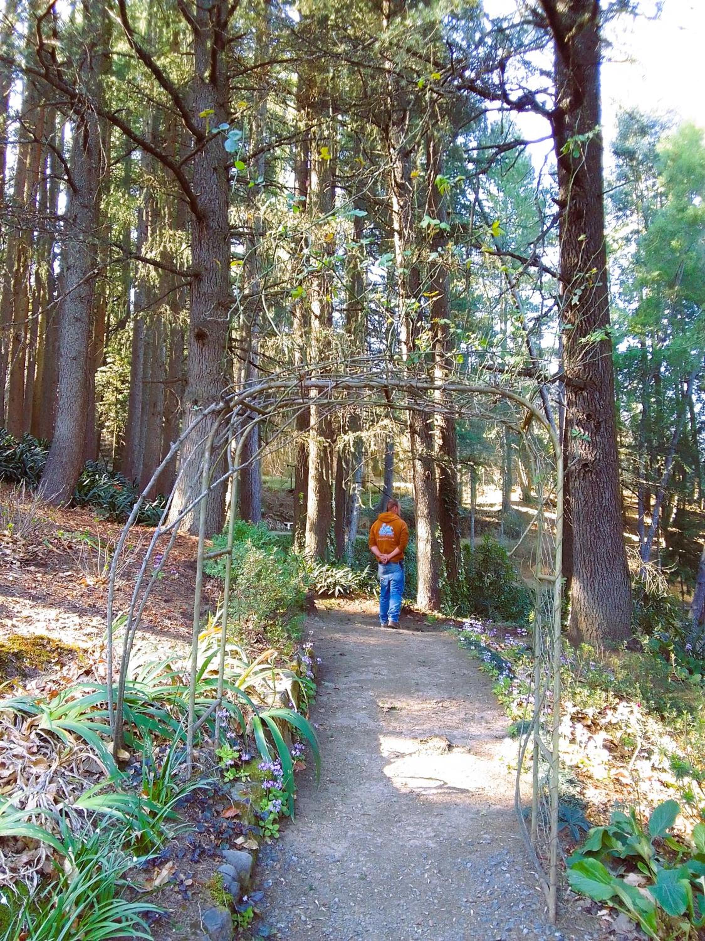 Hogsback Hidden Away