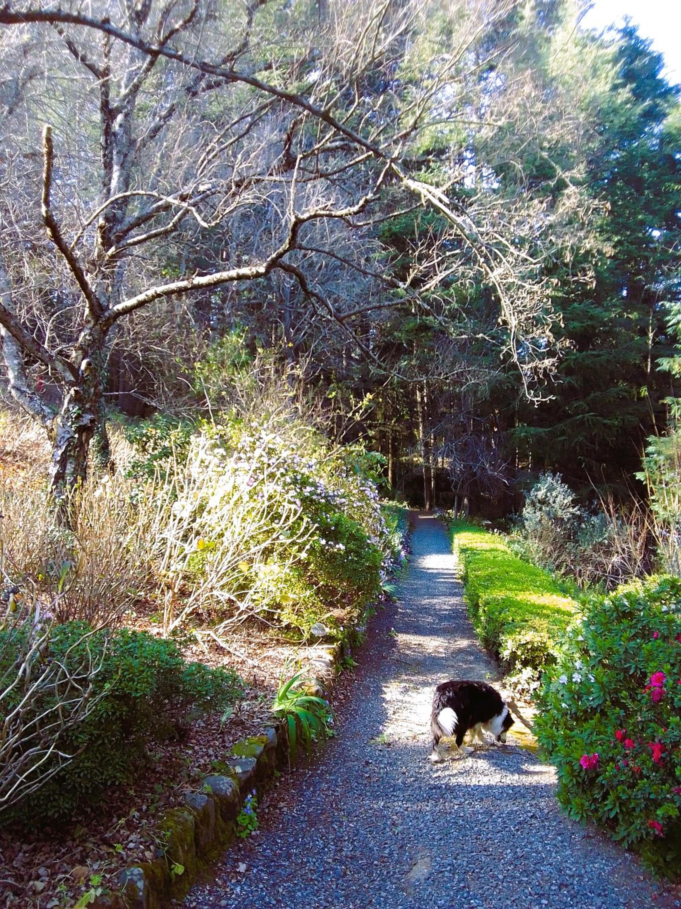 Hogsback Hidden Away