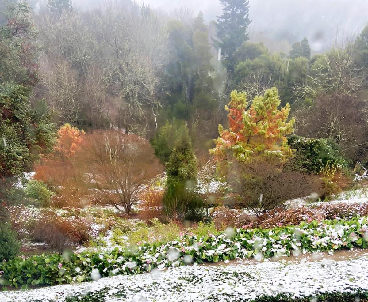Hogsback Hidden Away
