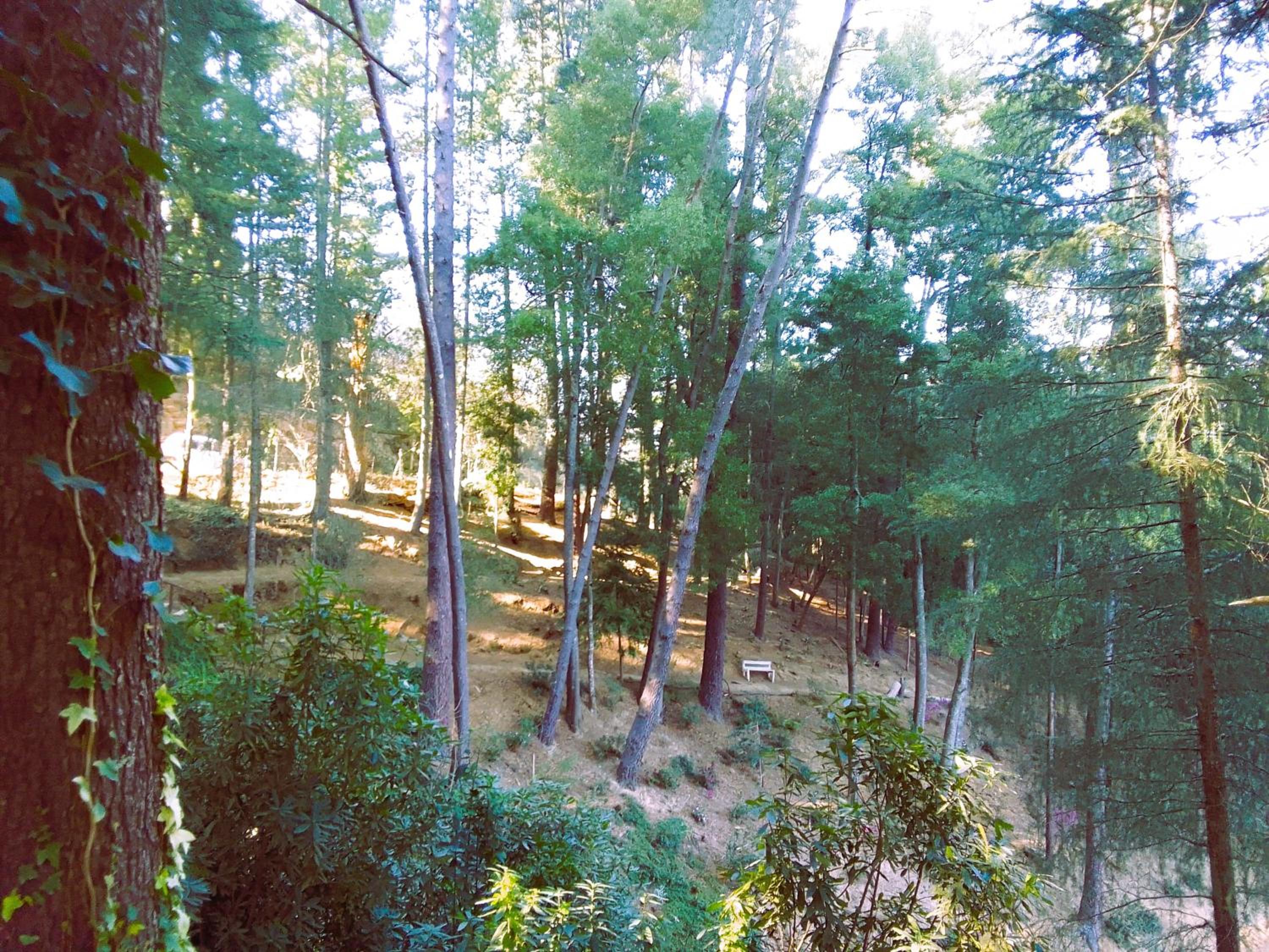 Hogsback Hidden Away