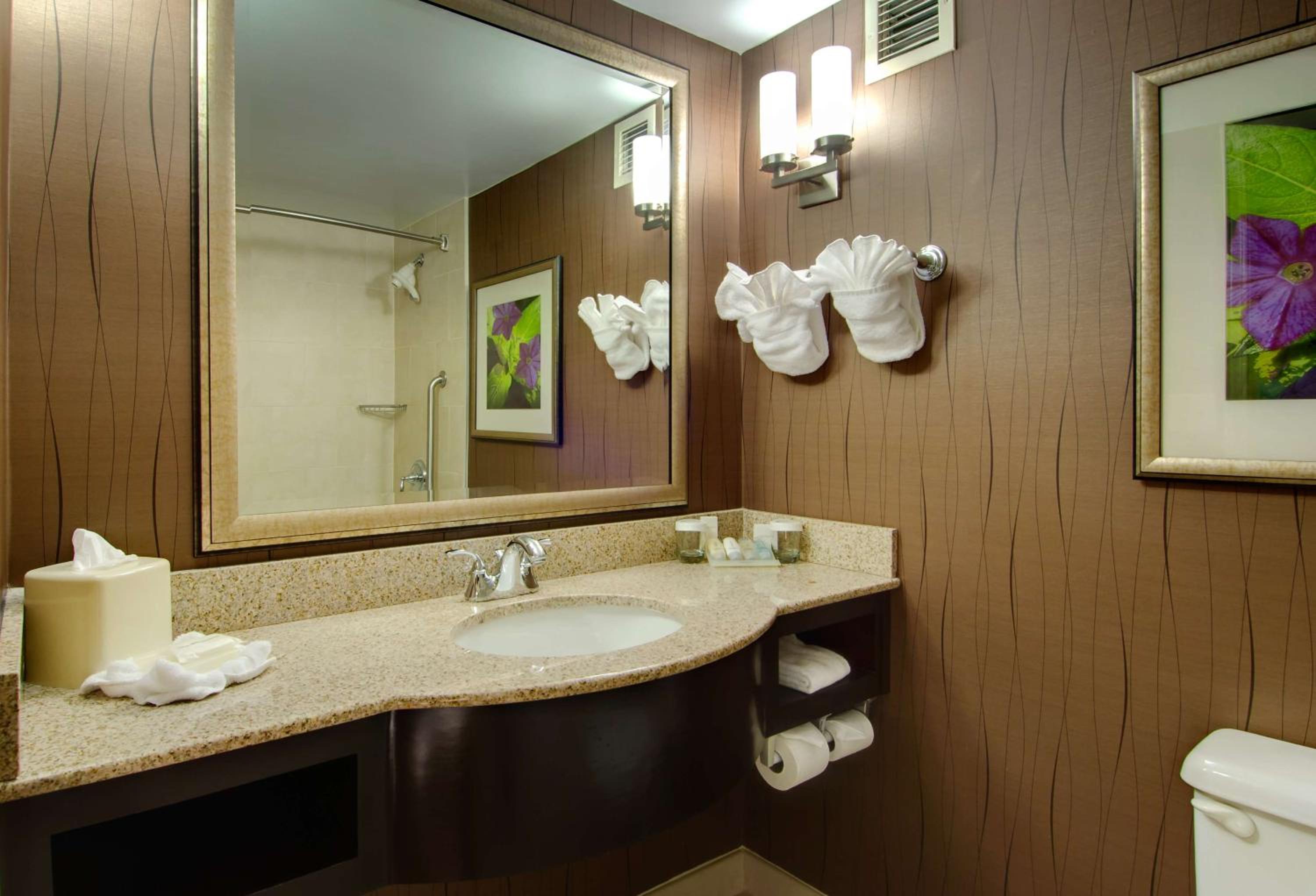 Hilton Garden Inn Raleigh Durham Airport - Property Image 3