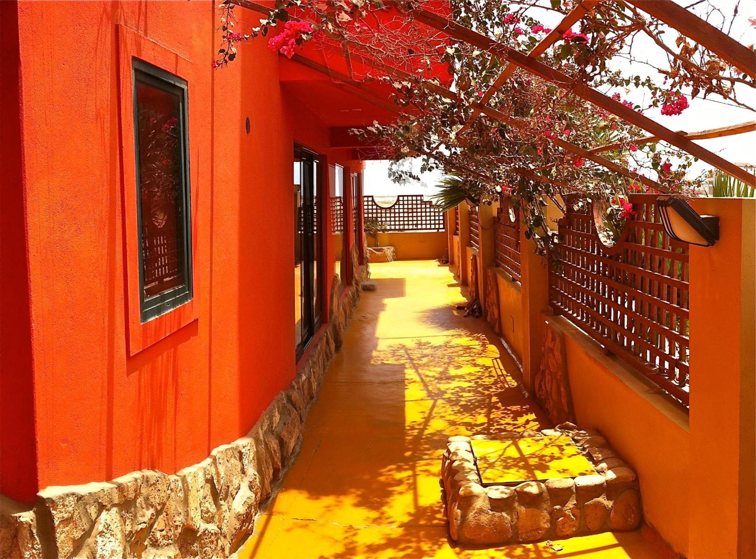 Surfactivity Guest House