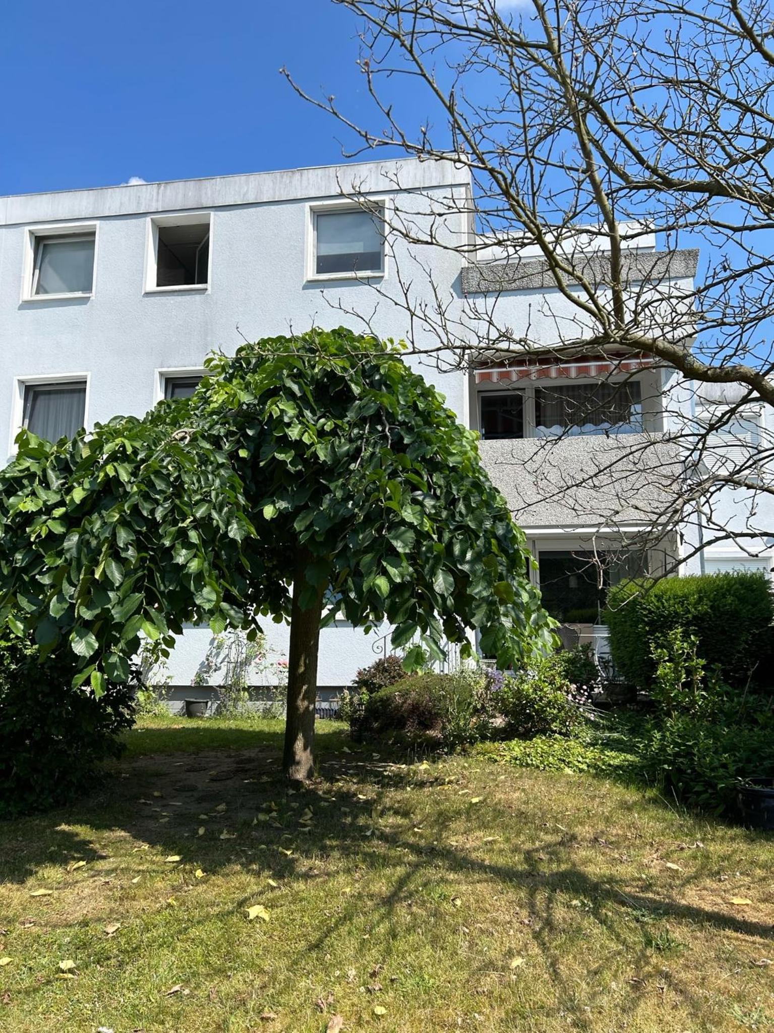 Wohnen am Schloss
