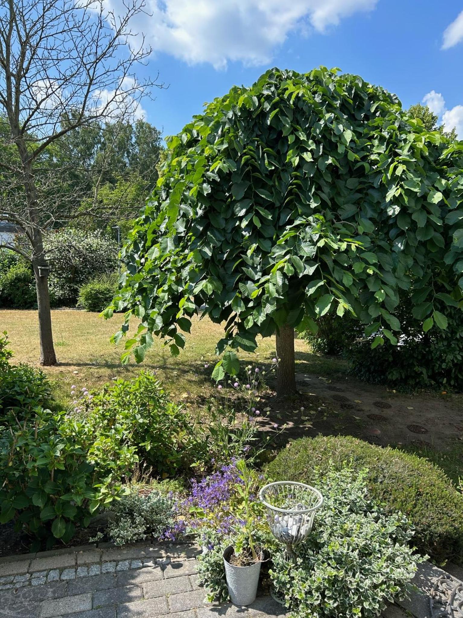 Wohnen am Schloss